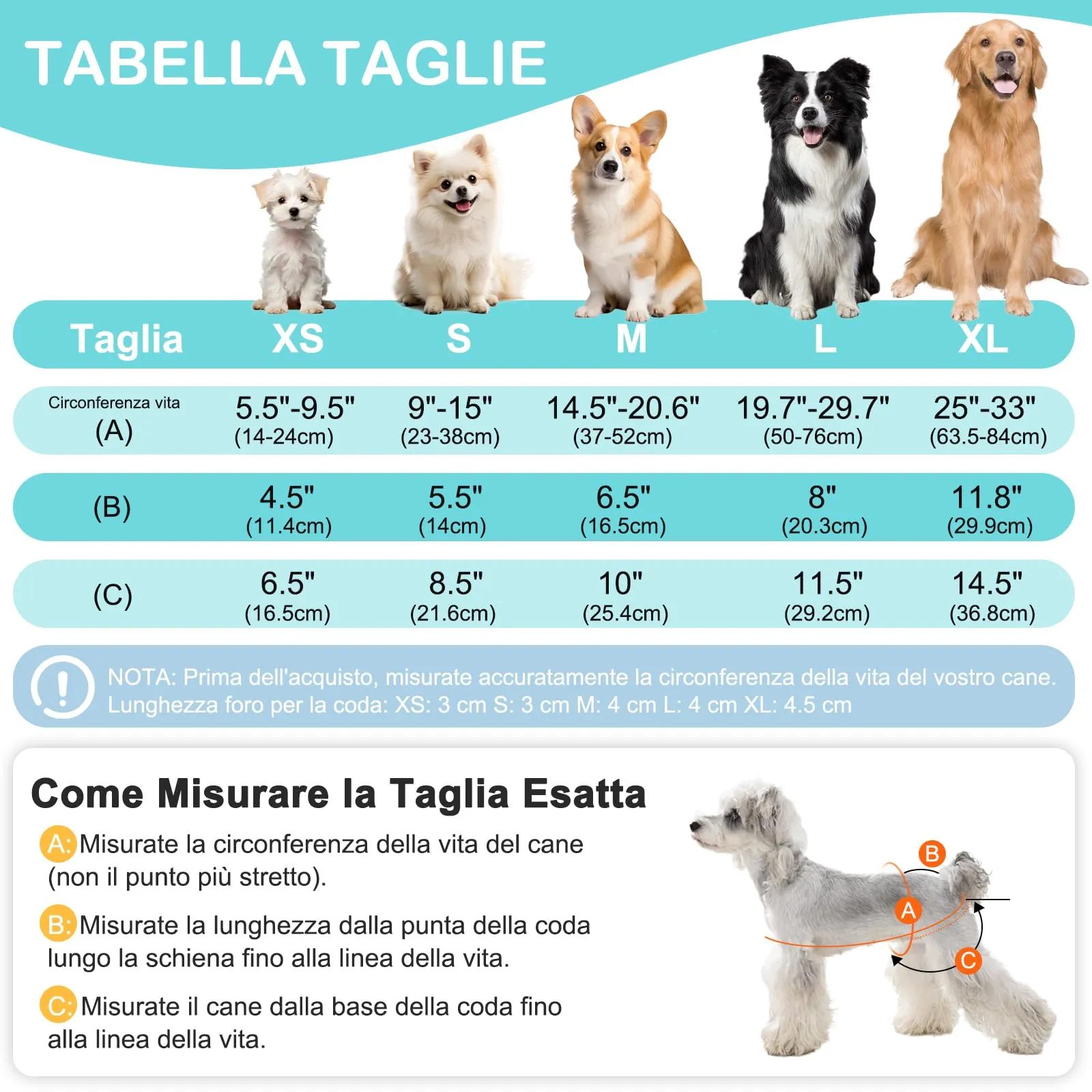 UFO PET Mutandine Lavabili per Cane Femmina in Calore, XS (3 Pezzi) - immagine 2