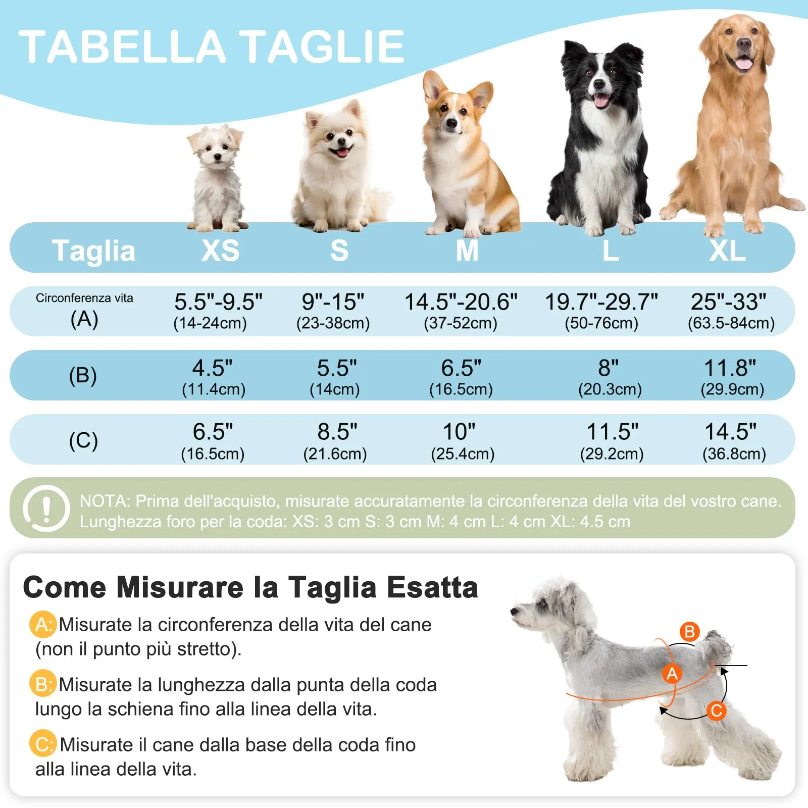 UFO PET Mutandine Lavabili per Cane Femmina, Taglia S, 3 Pezzi - immagine 2