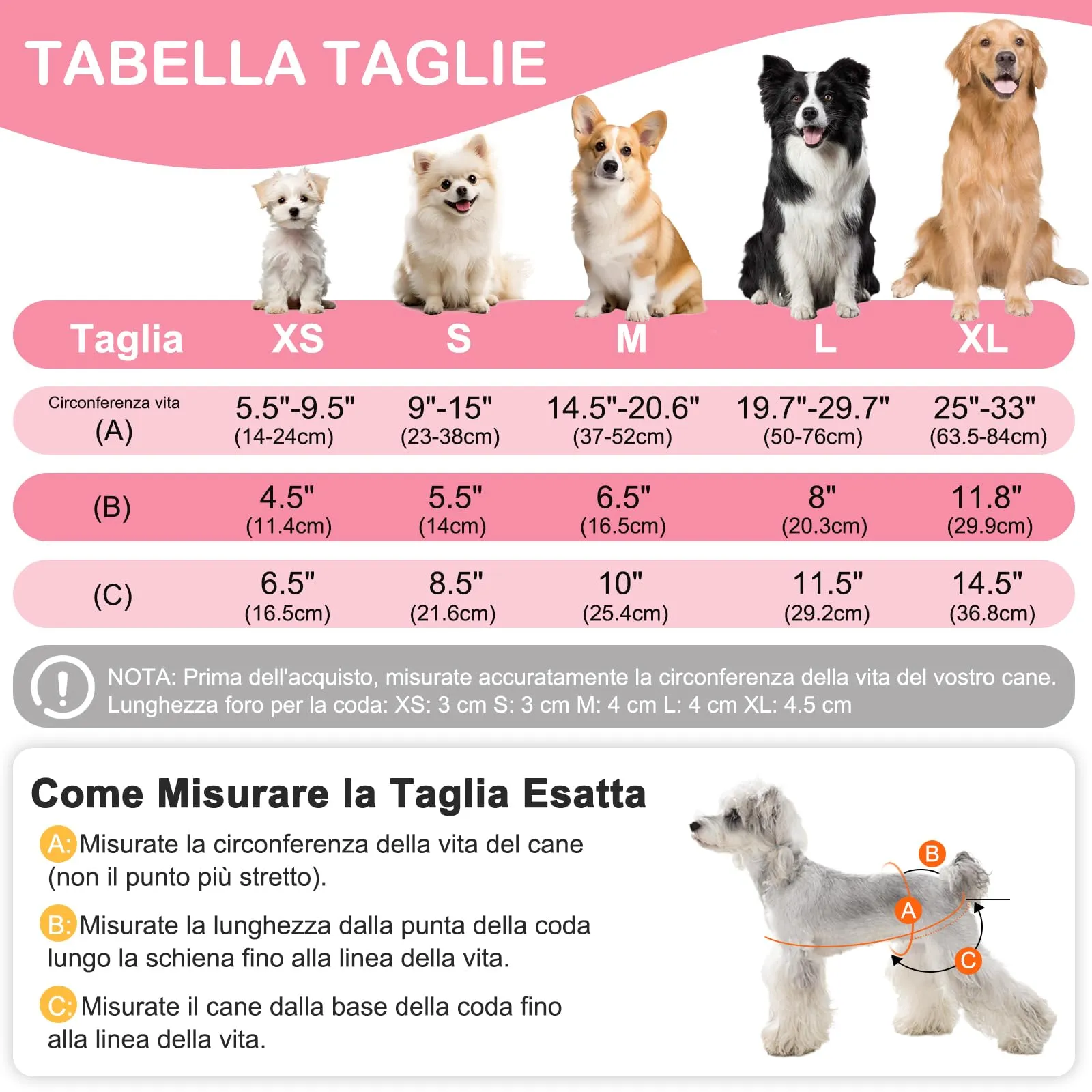 UFO PET Mutandine Lavabili per Cane Femmina, Taglia M, 3 Pezzi - immagine 2