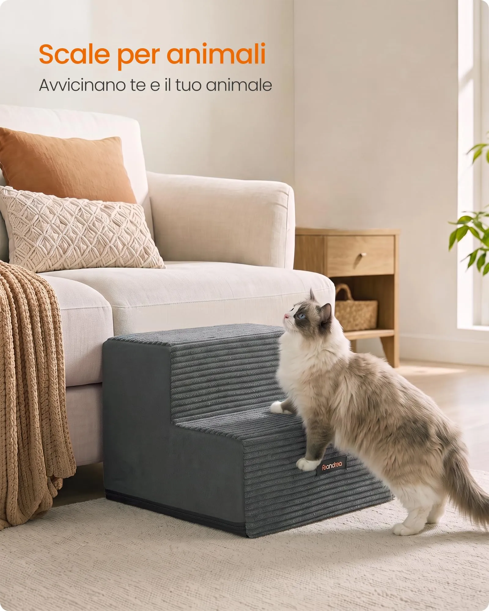 Feandrea Scaletta per Cani a 2 Gradini in Schiuma ad Alta Densità, Grigio Piombo, 30 x 38 x 28 cm, PPS022GN01 - immagine 3