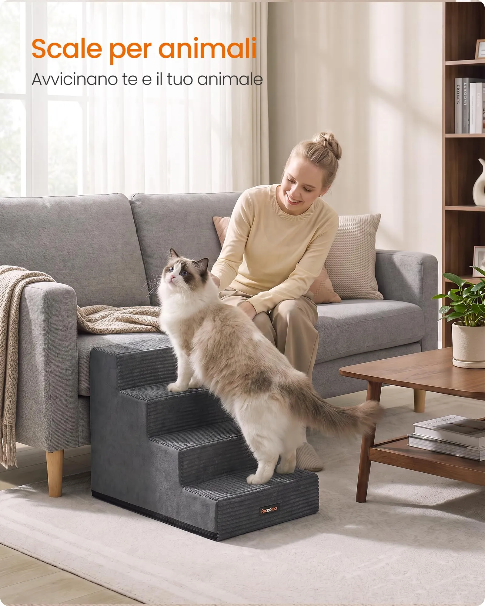 Feandrea Scaletta per Cani a 4 Gradini in Schiuma ad Alta Densità, 62 x 40 x 44 cm, Grigio Ardesia, PPS024GN01 - immagine 3