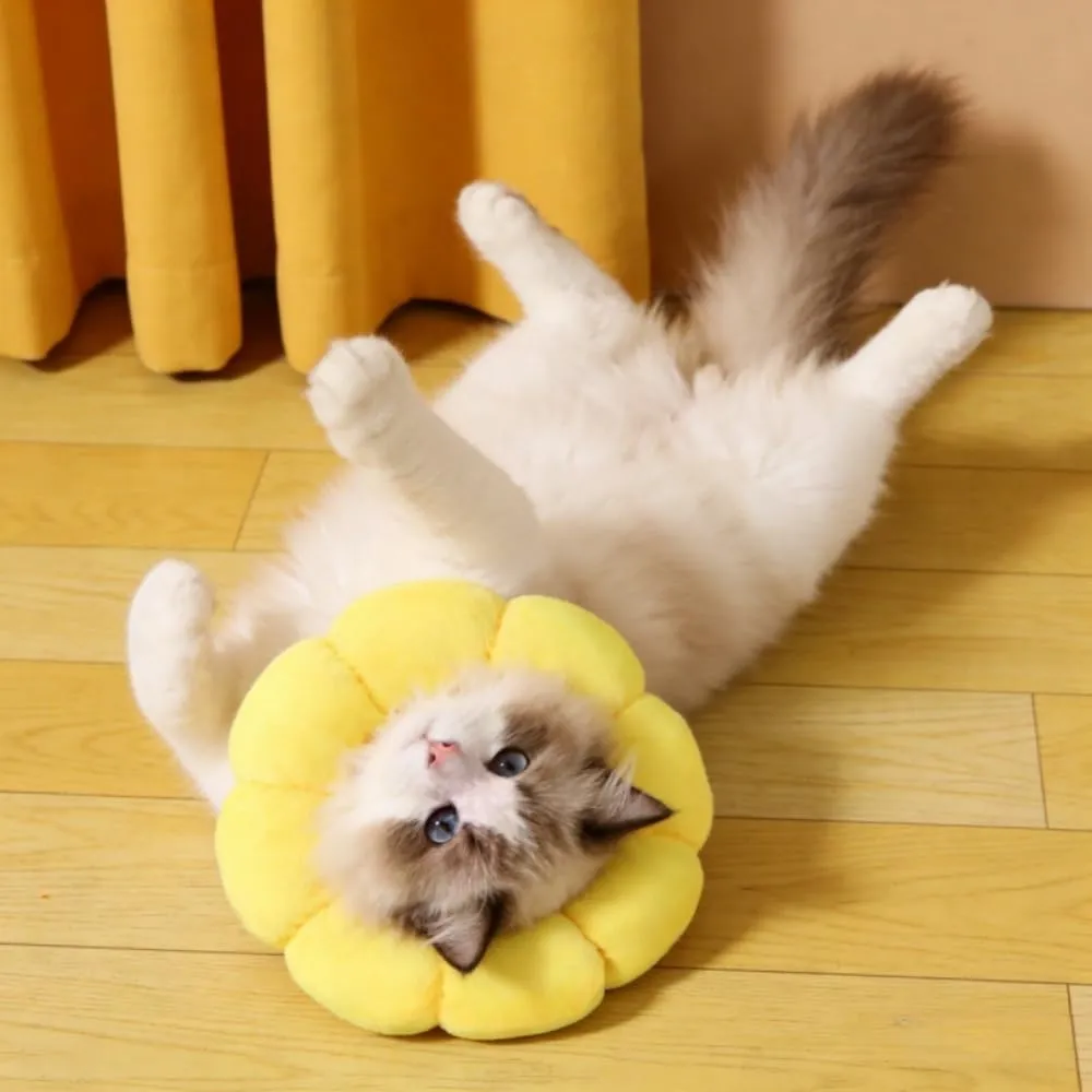 MHwan Collare Elisabettiano per Gatto in Cotone Scamosciato, Taglia M, Giallo - immagine 5