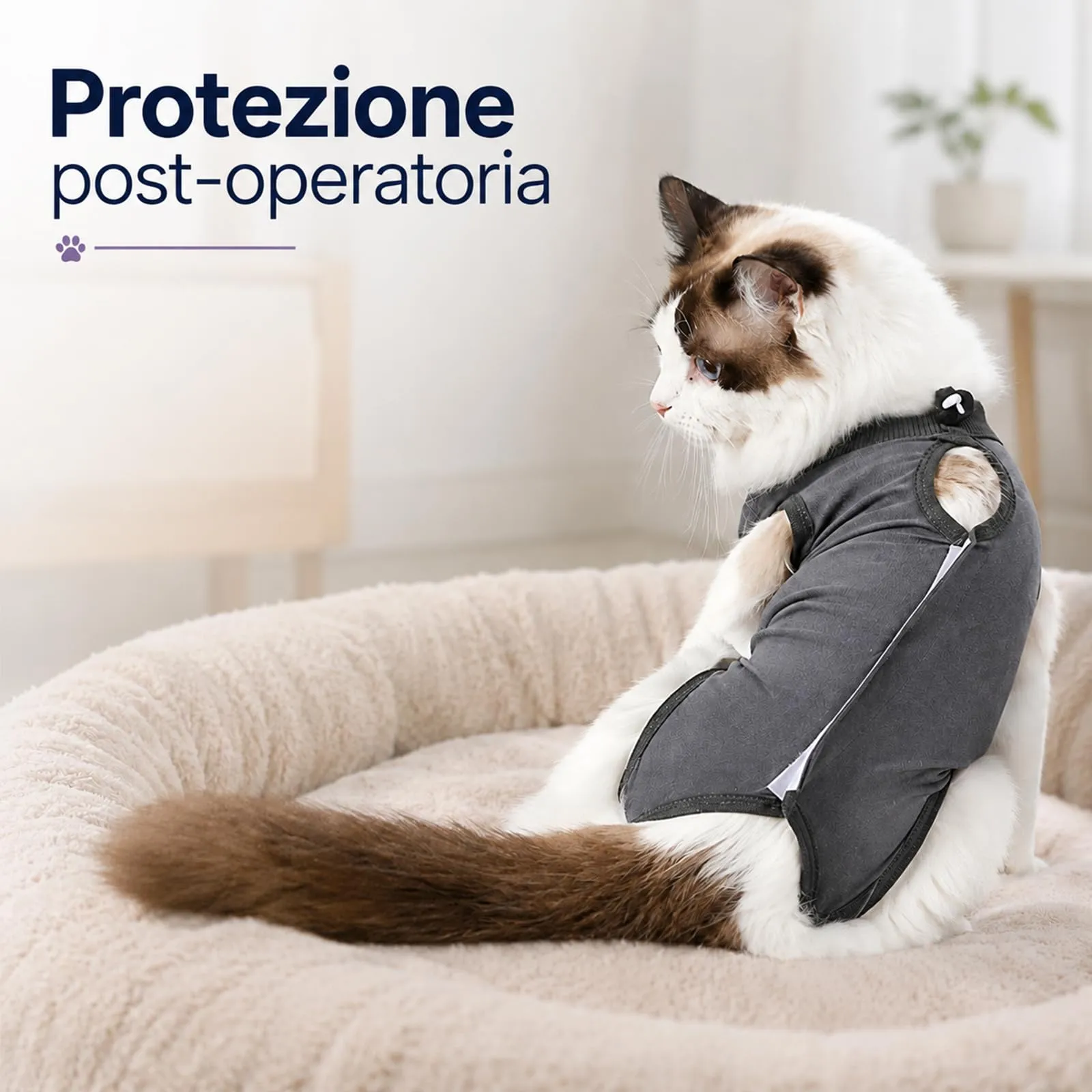 CUEMOON Tuta da Recupero per Gatti e Cani di Piccola Taglia, Body Post Operatorio Sterilizzazione, L - immagine 6