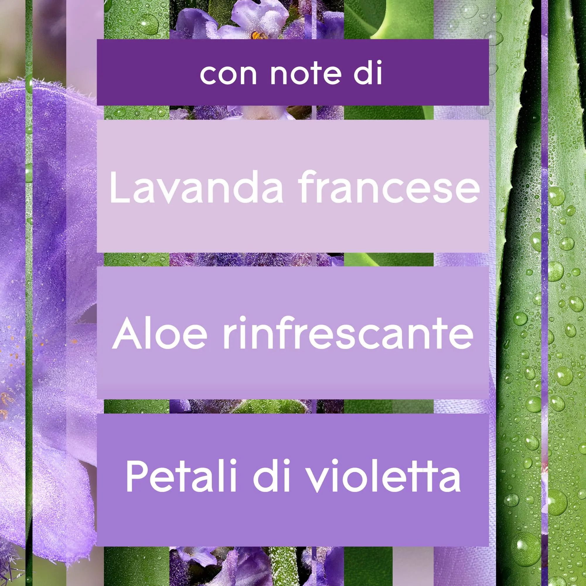 Glade Sense & Spray Ricariche, Lavanda e Aloe, 2 x 18 ml - immagine 3