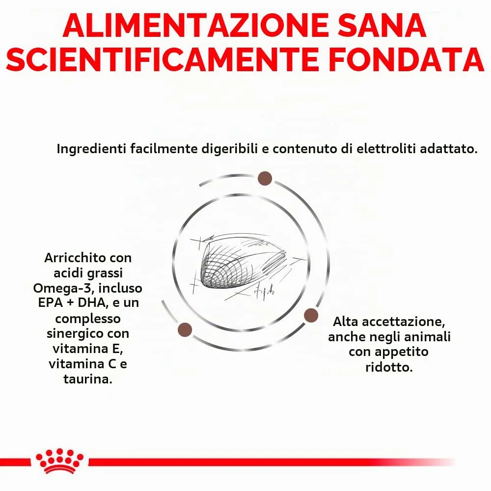 Royal Canin Veterinary Gastrointestinal Feline Cibo Secco per Gatti, 4 x 400 g - immagine 4