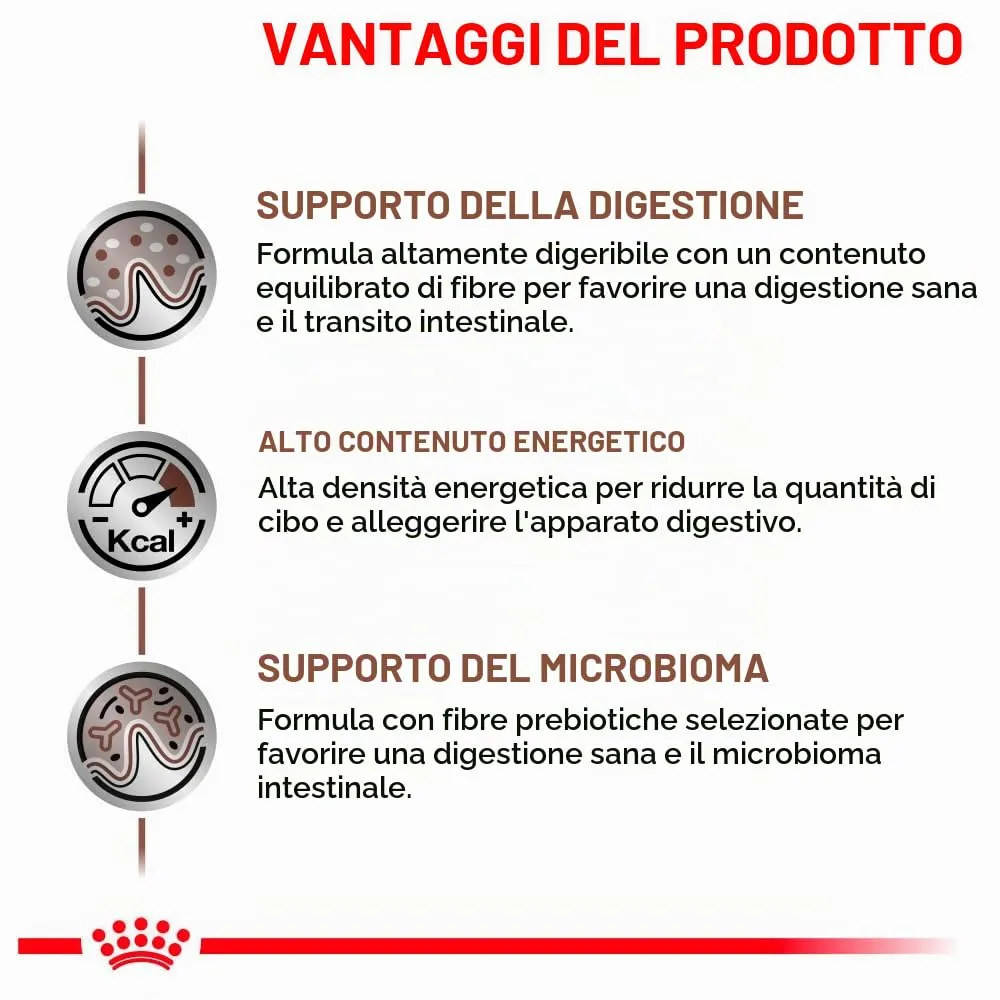 Royal Canin Veterinary Gastrointestinal Feline Cibo Secco per Gatti, 4 x 400 g - immagine 5