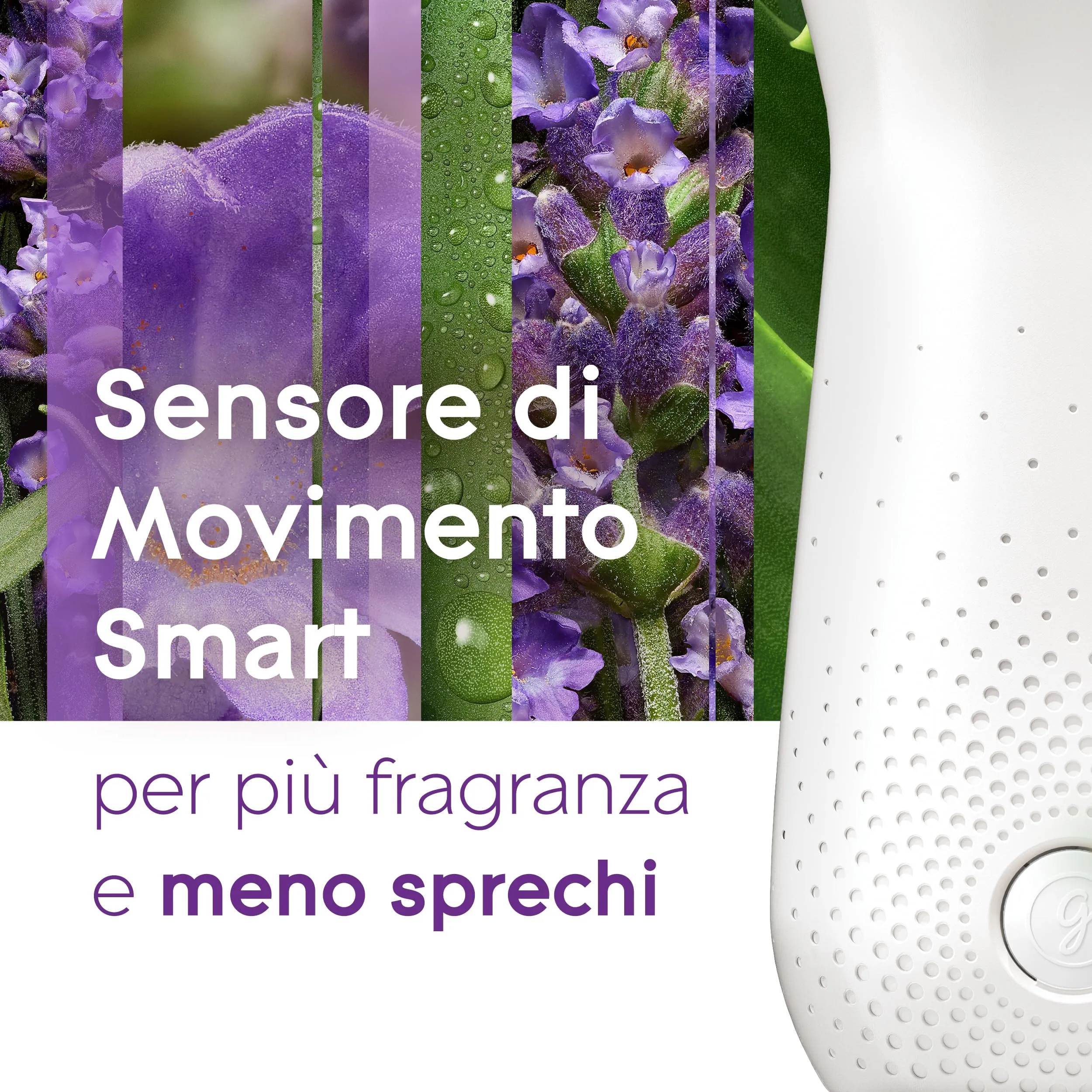 Glade Sense & Spray Profumatore per Ambienti, Vanilla Blossom, 3 Ricariche - immagine 2