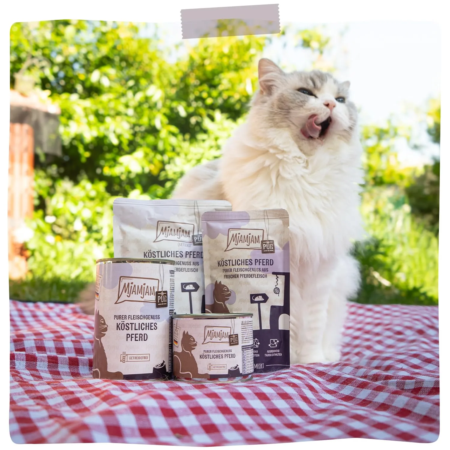 MjAMjAM Cibo Umido Premium per Gatti Cavallo, Senza Cereali, 6 x 400 g - immagine 6