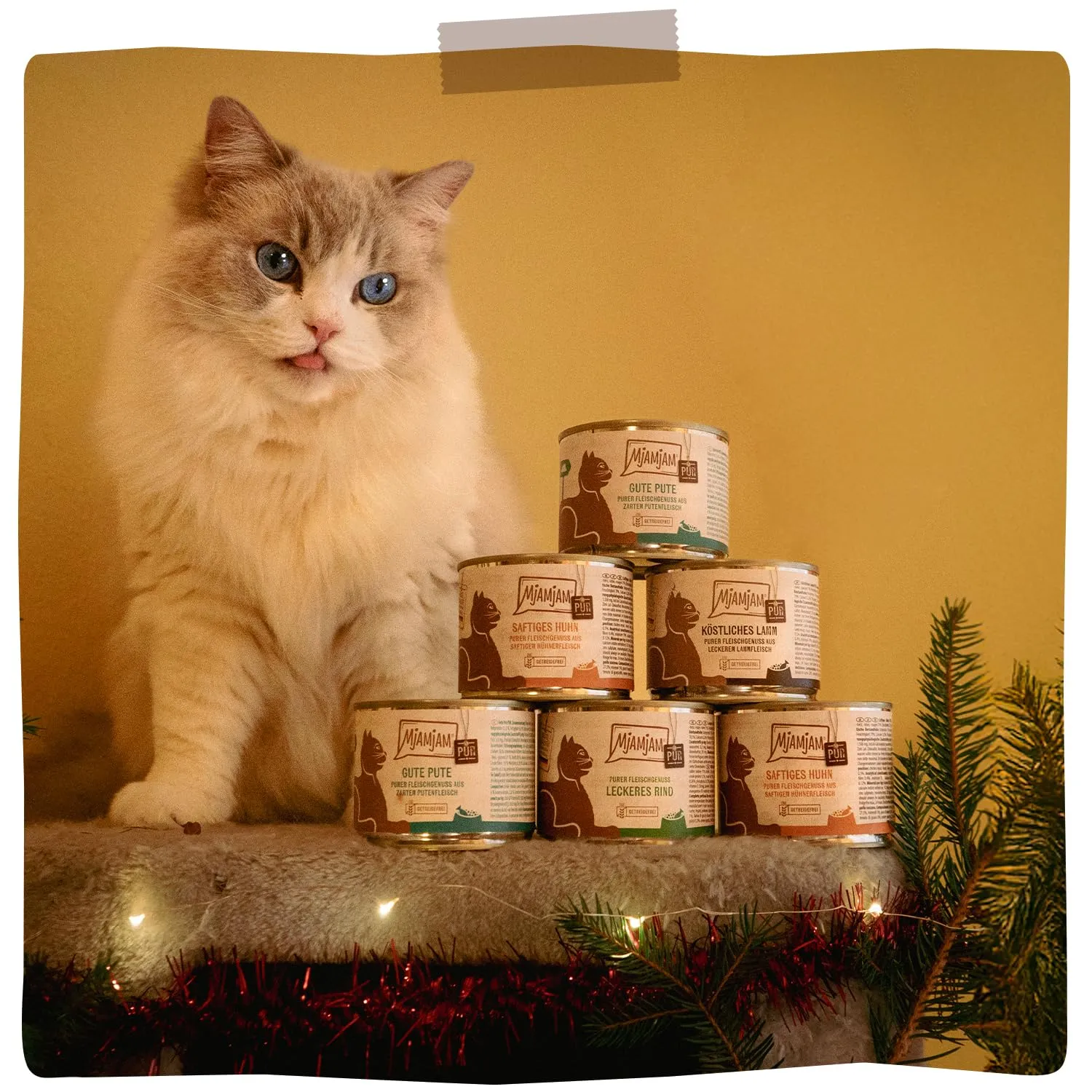 MjAMjAM Cibo Umido Premium per Gatti Agnello, Senza Cereali, 6 x 800 g - immagine 6