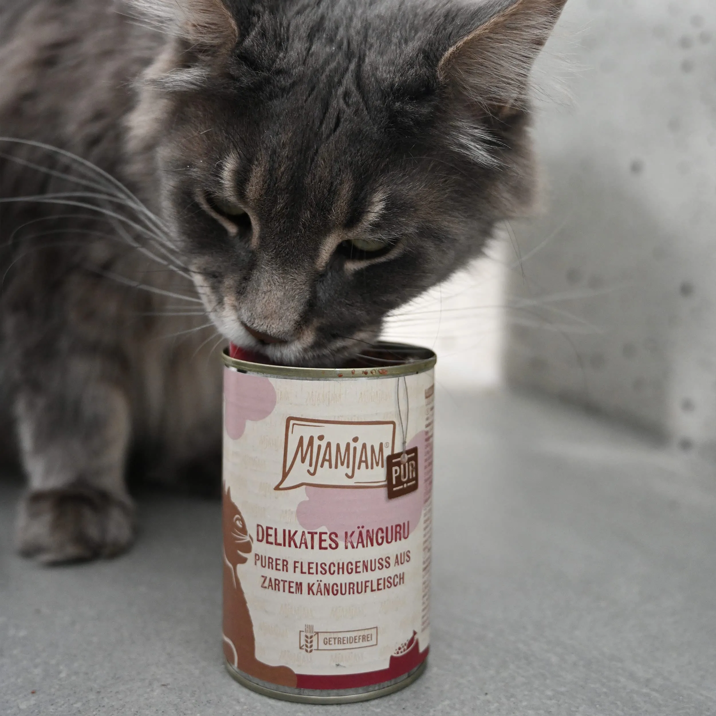 MjAMjAM Cibo Umido per Gatti al Canguro, Senza Cereali, 6 x 800 g - immagine 2