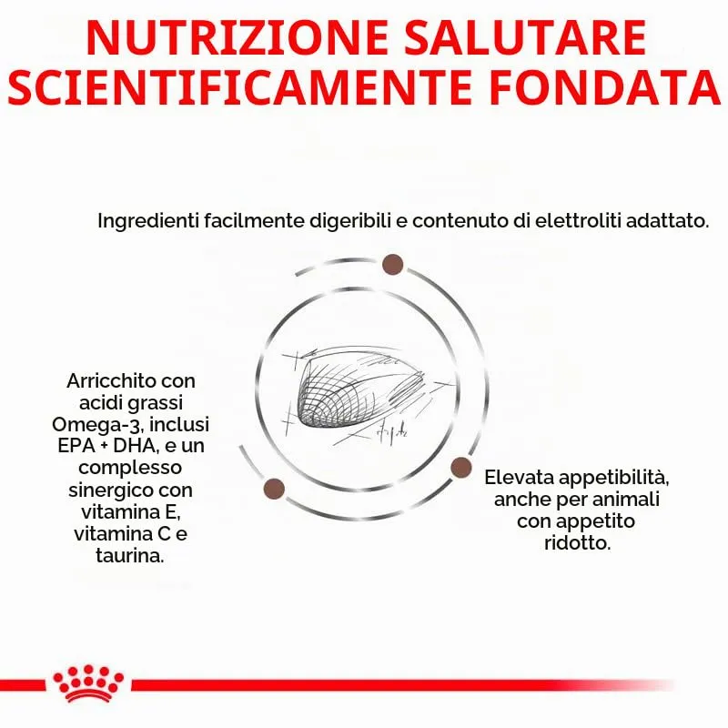 Royal Canin Veterinary Gastrointestinal Crocchette per gatti, 2 x 400 g - immagine 4