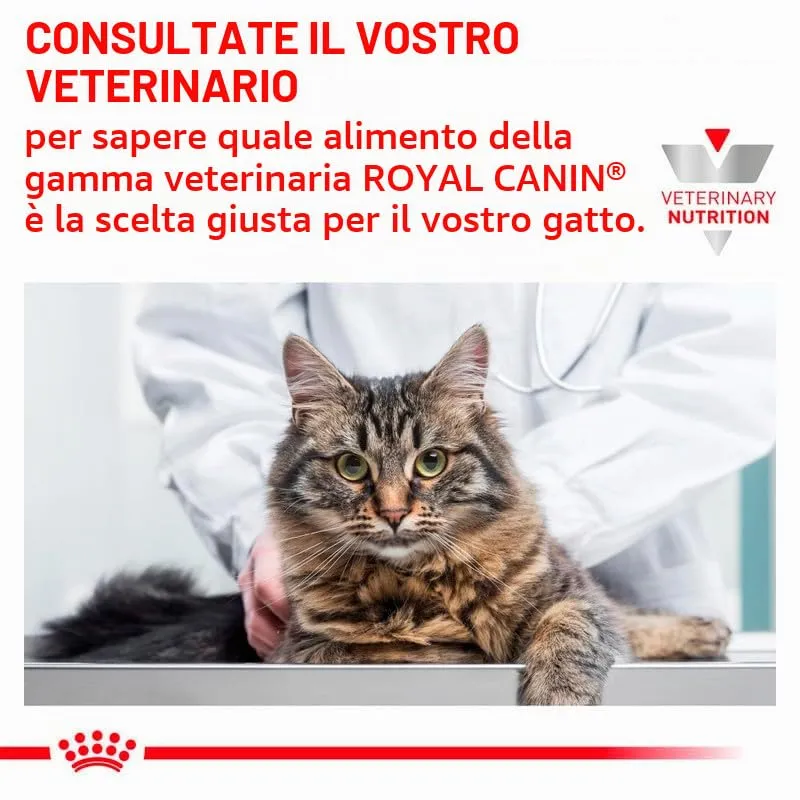 Royal Canin Veterinary Gastrointestinal Crocchette per gatti, 2 x 400 g - immagine 7