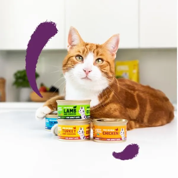 Edgard & Cooper Cibo Umido per Gatti Pollo e Salmone in Salsa, Senza Cereali, 85g x 18 - immagine 2
