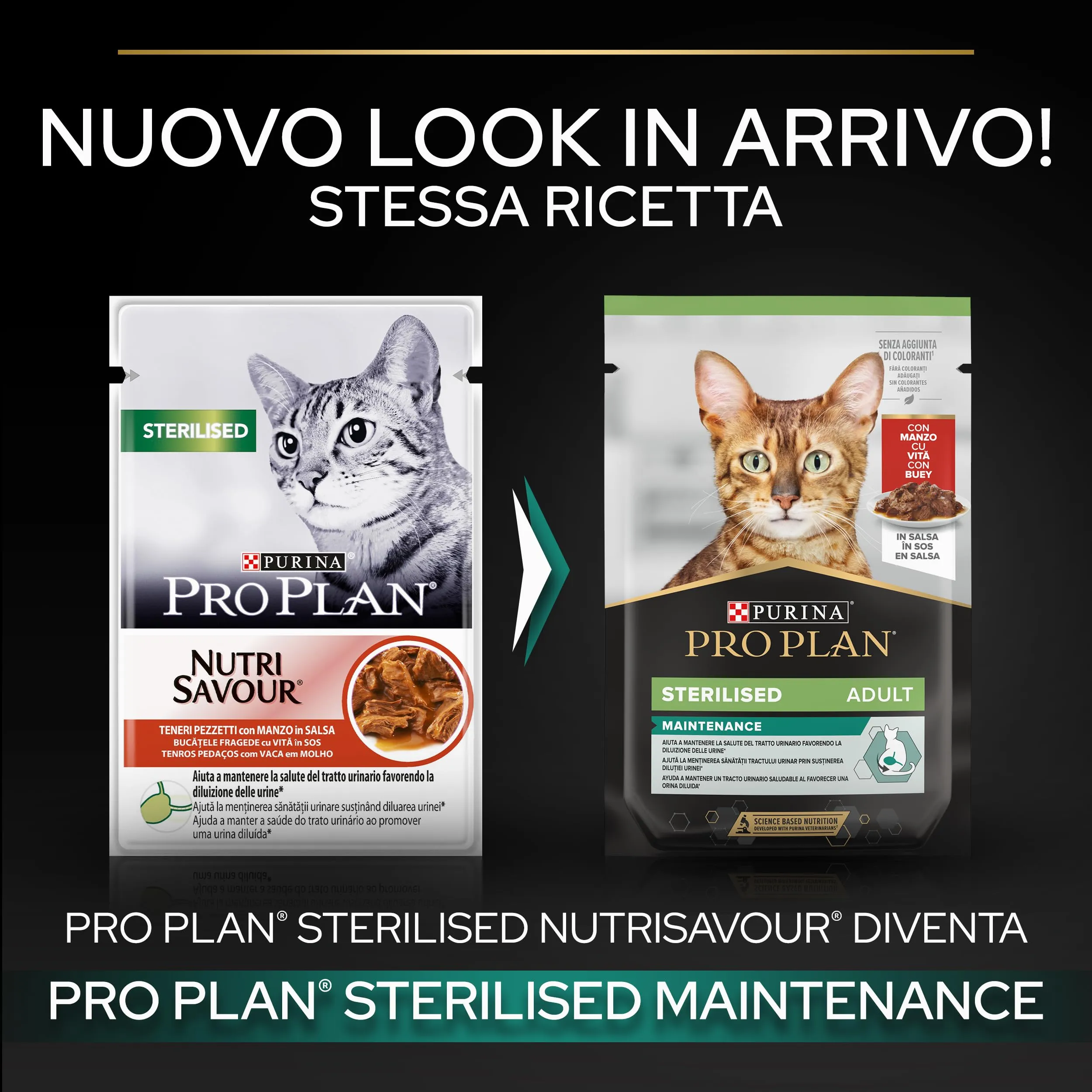 Purina Pro Plan Cibo Umido per Gatti Adulti Sterilizzati Manzo, 26 Bustine da 85g - immagine 3