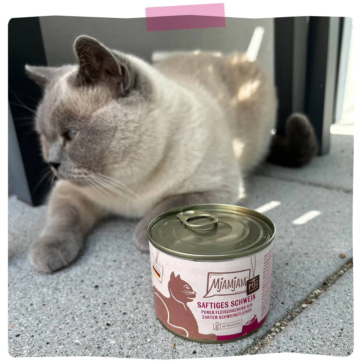 MjAMjAM Quetschie Cibo Umido per Gatti, Maiale Succoso Pure, Senza Cereali, 6 x 300 g - immagine 6
