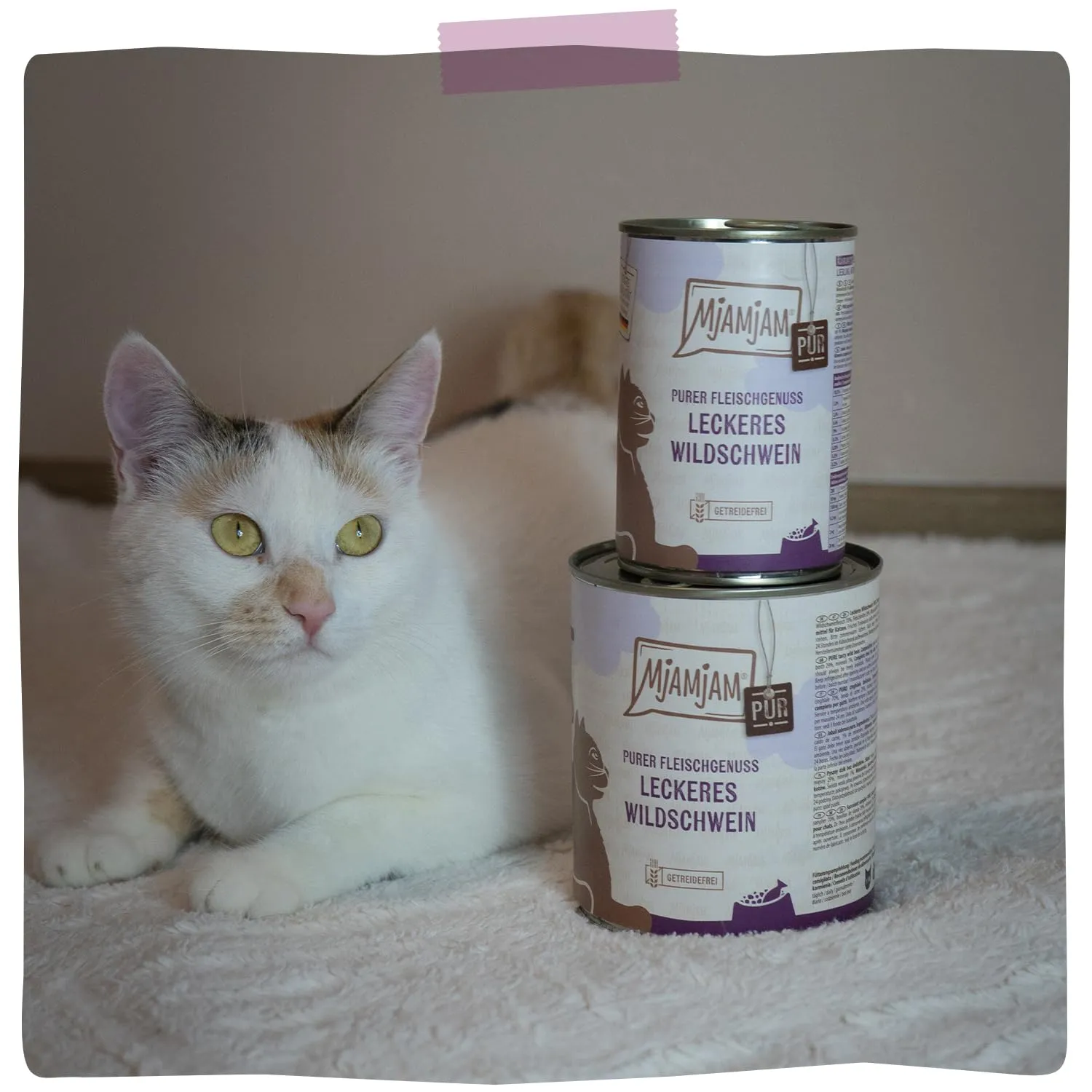 MjAMjAM Cibo Umido per Gatti Cinghiale, Senza Cereali, 6x400g - immagine 6