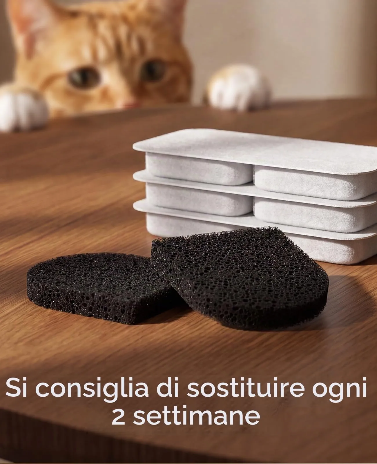 oneisall 8 filtri di ricambio per fontana d'acqua per gatti PW13 - immagine 5