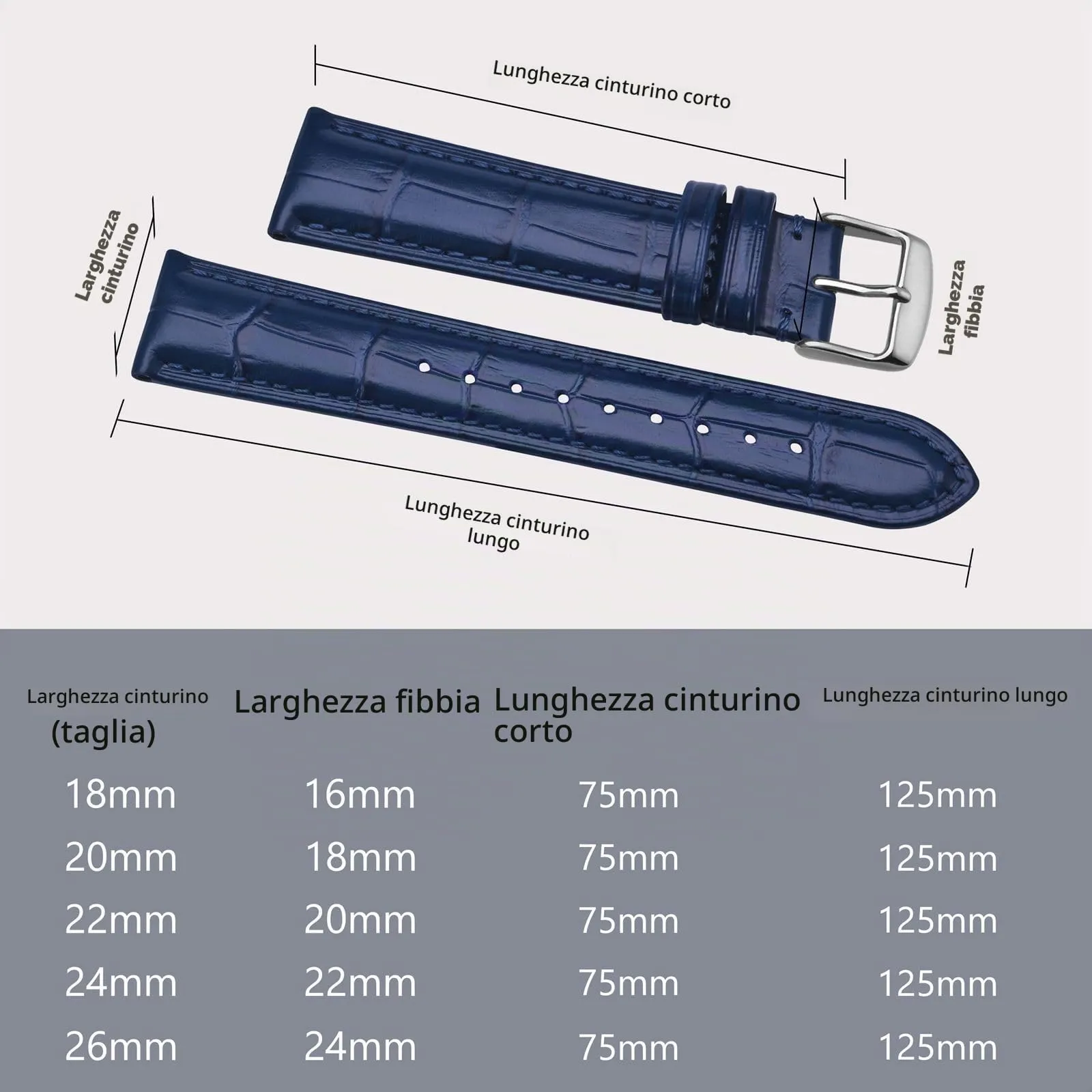 BISONSTRAP Cinturino per Orologi in Pelle Goffrata Alligatore, 24mm, Blu con Fibbia Argento - immagine 5