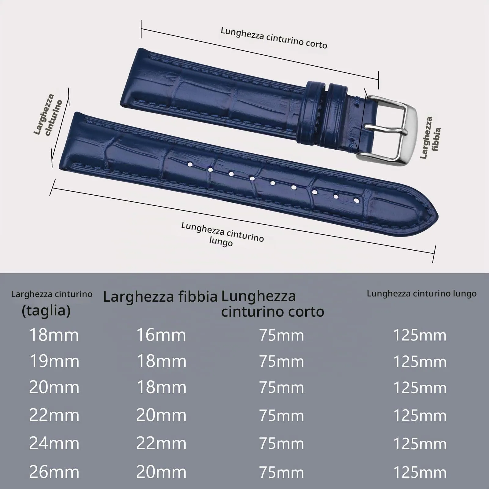 BISONSTRAP Cinturino per Orologi in Pelle Goffrata Alligatore 19mm, Blu con Fibbia Argento - immagine 5