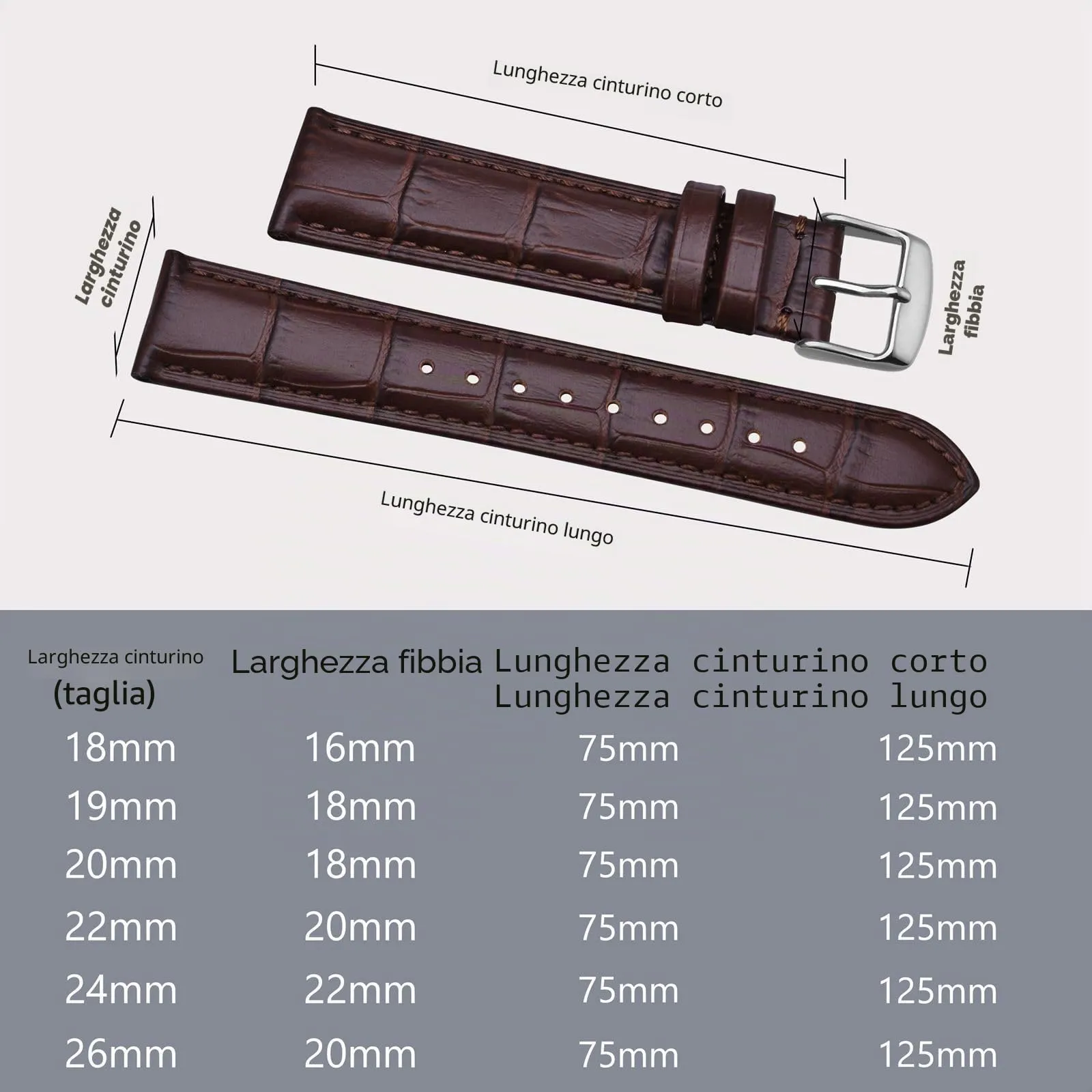 BISONSTRAP Cinturino per Orologi 19mm in Pelle Goffrata Alligatore, Marrone Caffè con Fibbia Argento - immagine 5