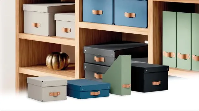 Leitz Puro Set di 2 Scatole Portaoggetti con Coperchio, Medie Basse, 8 Litri, 27 x 37 x 10 cm, Blu Marino - immagine 2