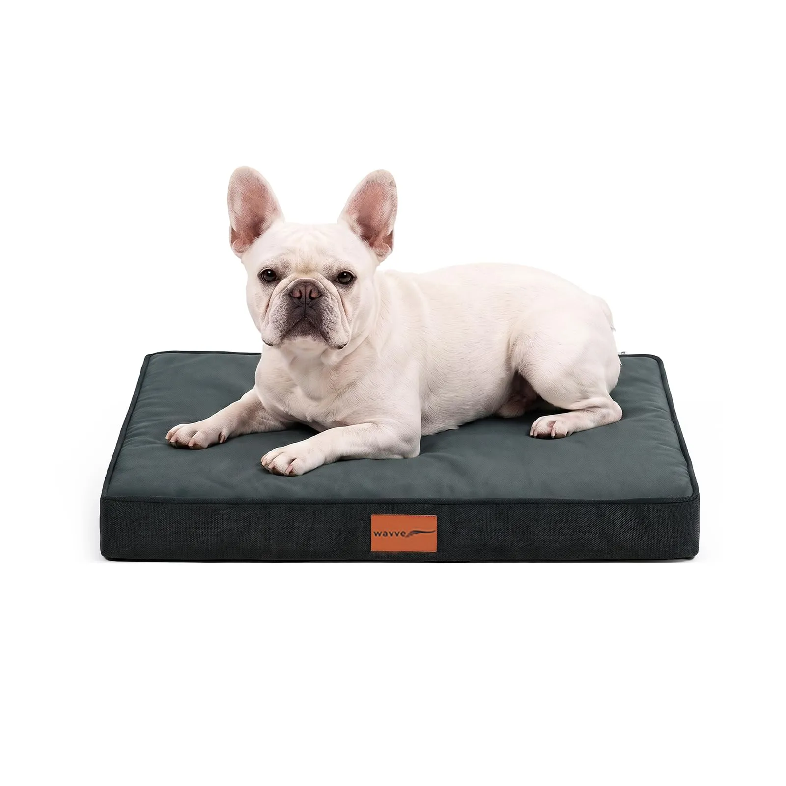 WAVVE Cuccia Cane Interno, 76x51x7.6 cm, Grigio - immagine 1