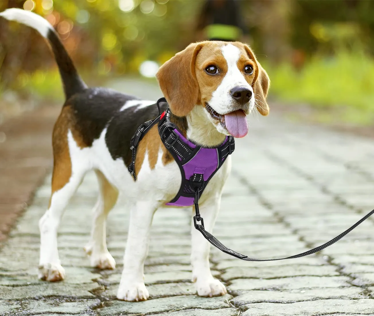 PoyPet Pettorina Anti-tiro per Cani Riflettente, Viola, S - immagine 5