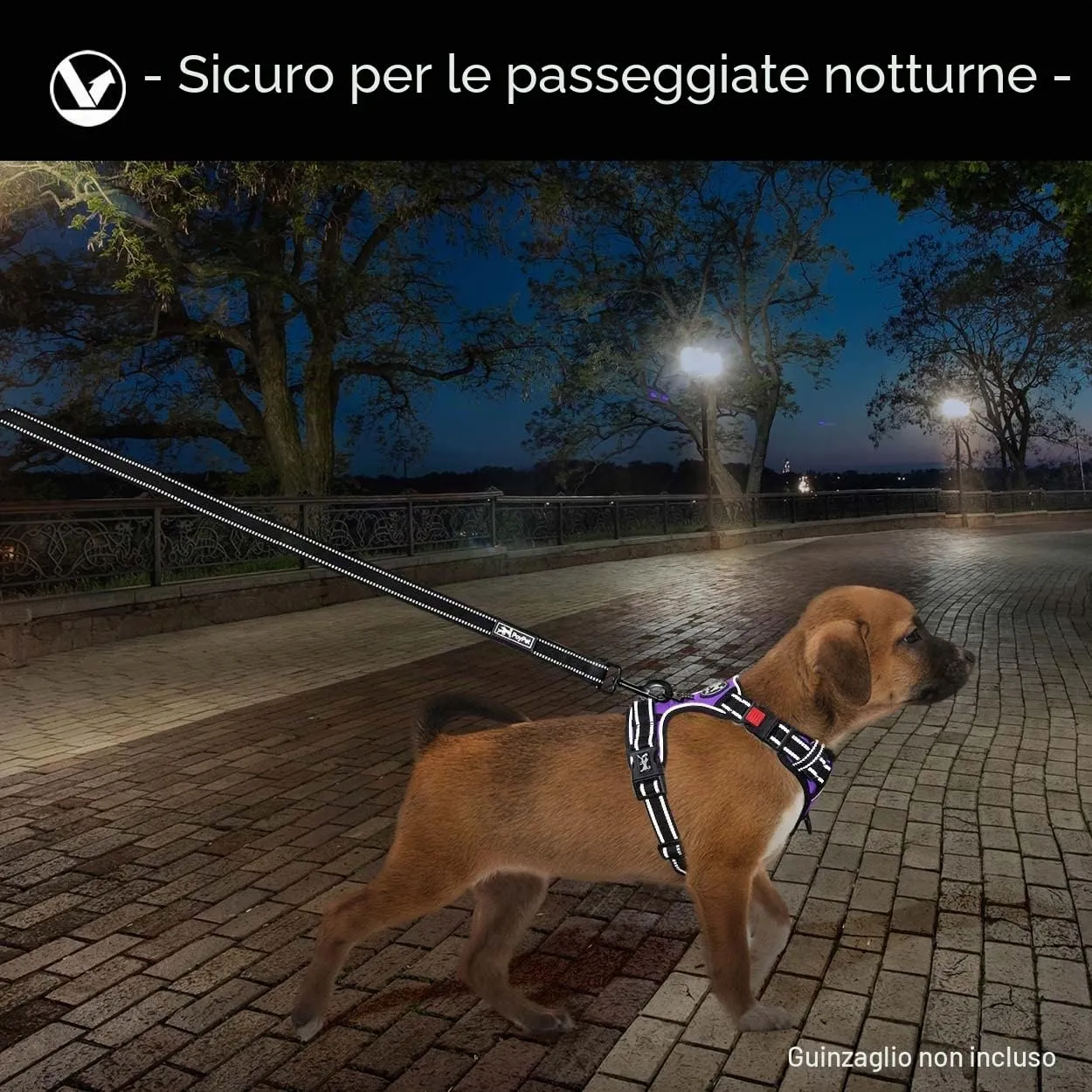 PoyPet Pettorina Anti-tiro per Cani Riflettente, Viola, S - immagine 6