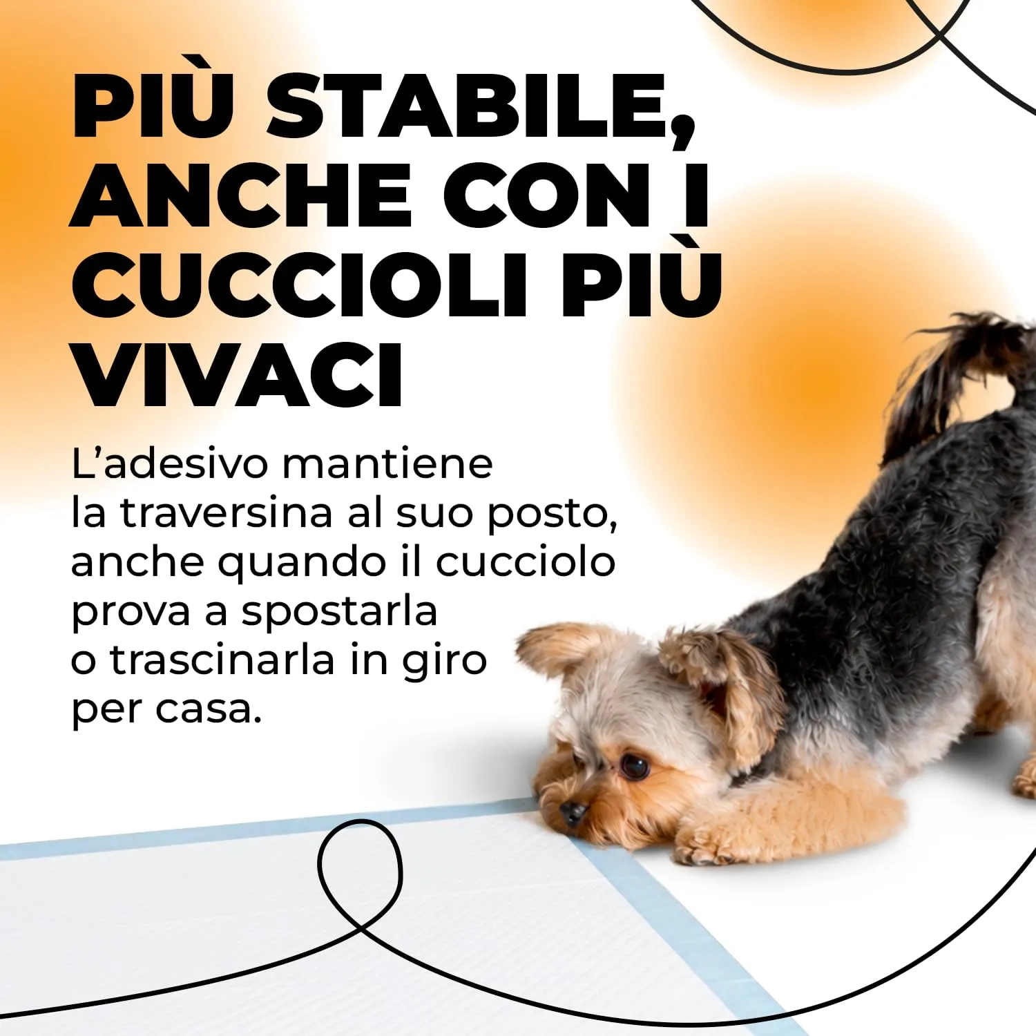 ErrecHome Traversine Assorbenti per Cani con Adesivo, 60x60 cm, 100 Pezzi - immagine 4