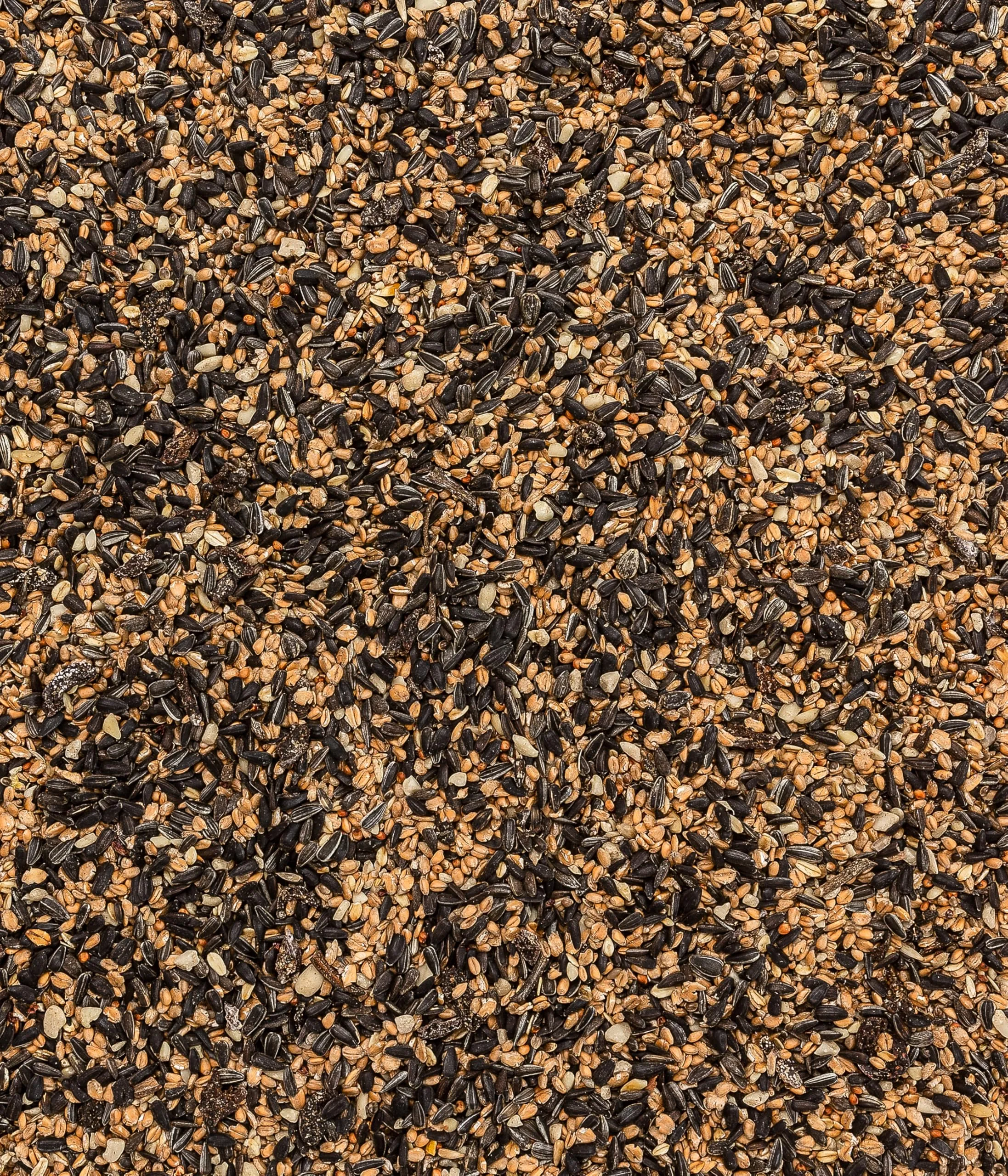 Dehner Natura Premium Mangime per Uccelli Selvatici con Arachidi e Semi di Girasole, Secchiello 3 kg - immagine 4