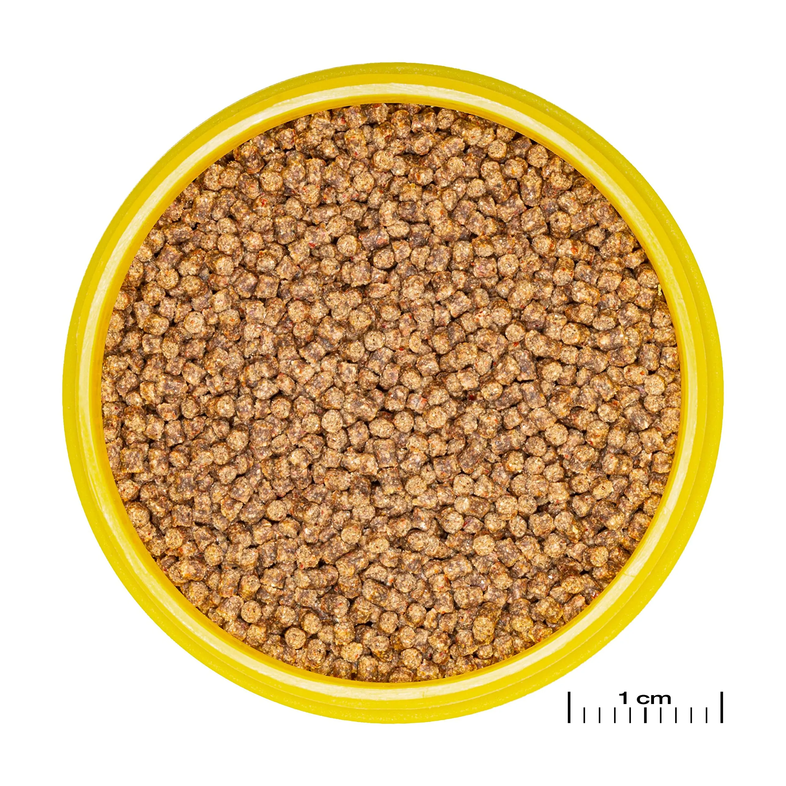 JBL Pronovo Lotl Grano, mangime principale per Axolotl 3-10 cm, taglia S, 100 ml - immagine 2