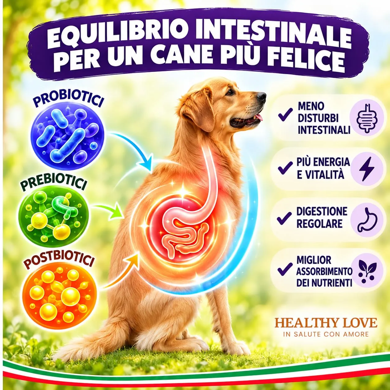 HEALTHY LOVE Probiotici per Cani, 120 Snack, Fermenti Lattici 240 g - immagine 2