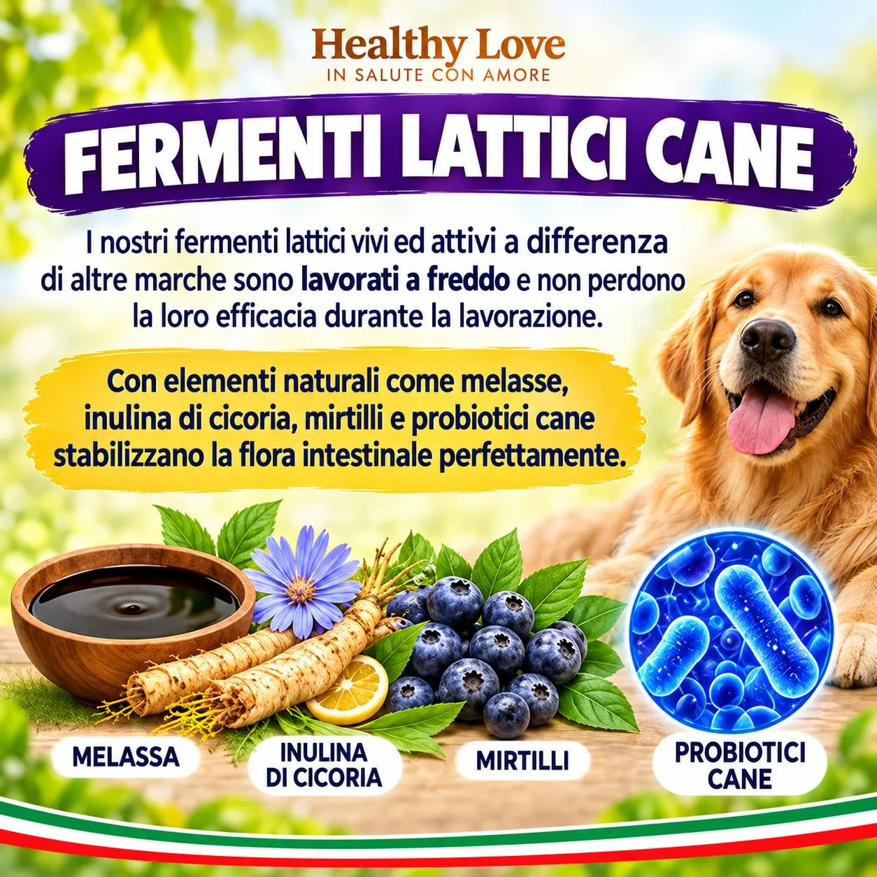 HEALTHY LOVE Probiotici per Cani, 120 Snack, Fermenti Lattici 240 g - immagine 4