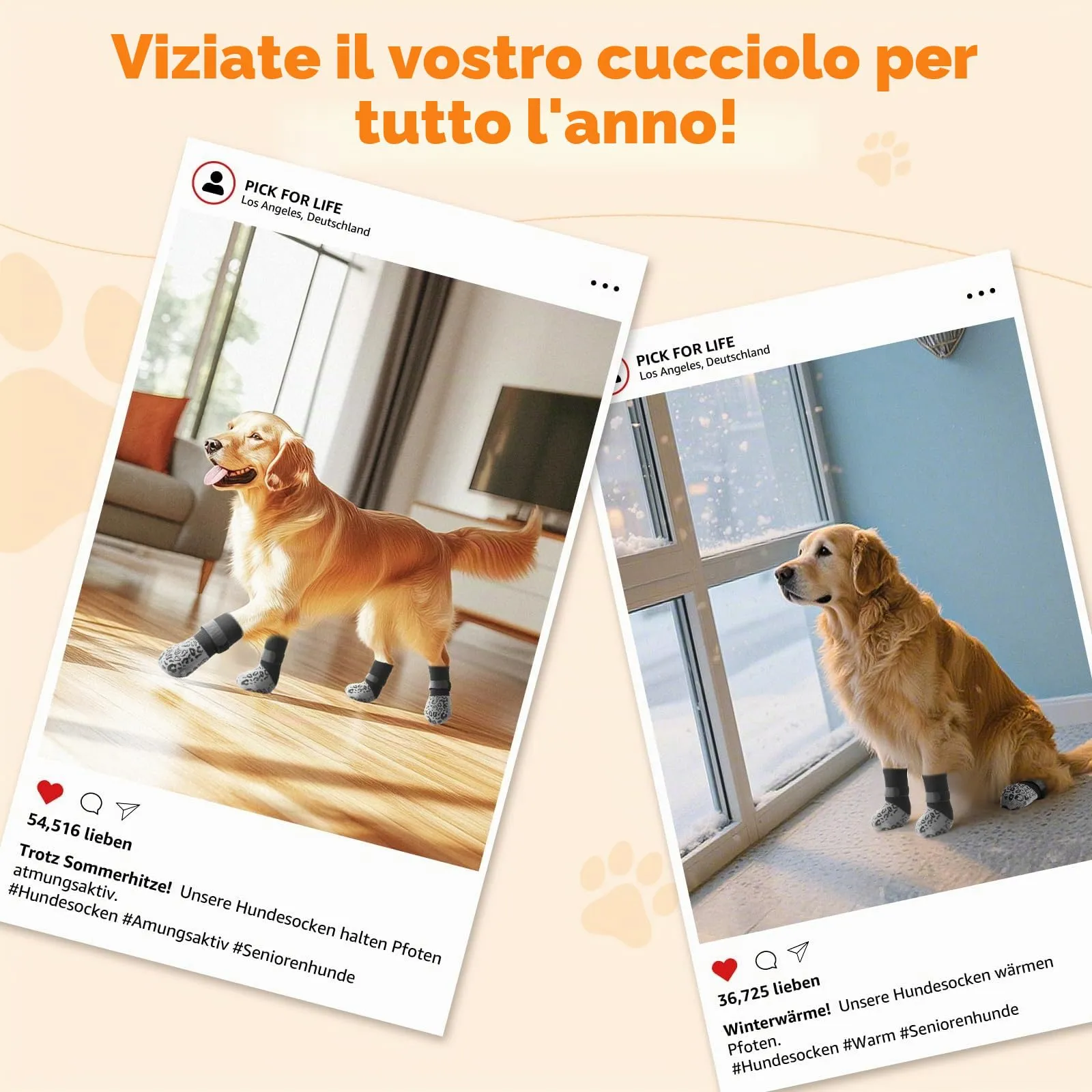 PICK FOR LIFE Calzini Antiscivolo per Cani, 2 Paia Double Face con Cinghie Regolabili per Interni, Grigio, XL - immagine 7