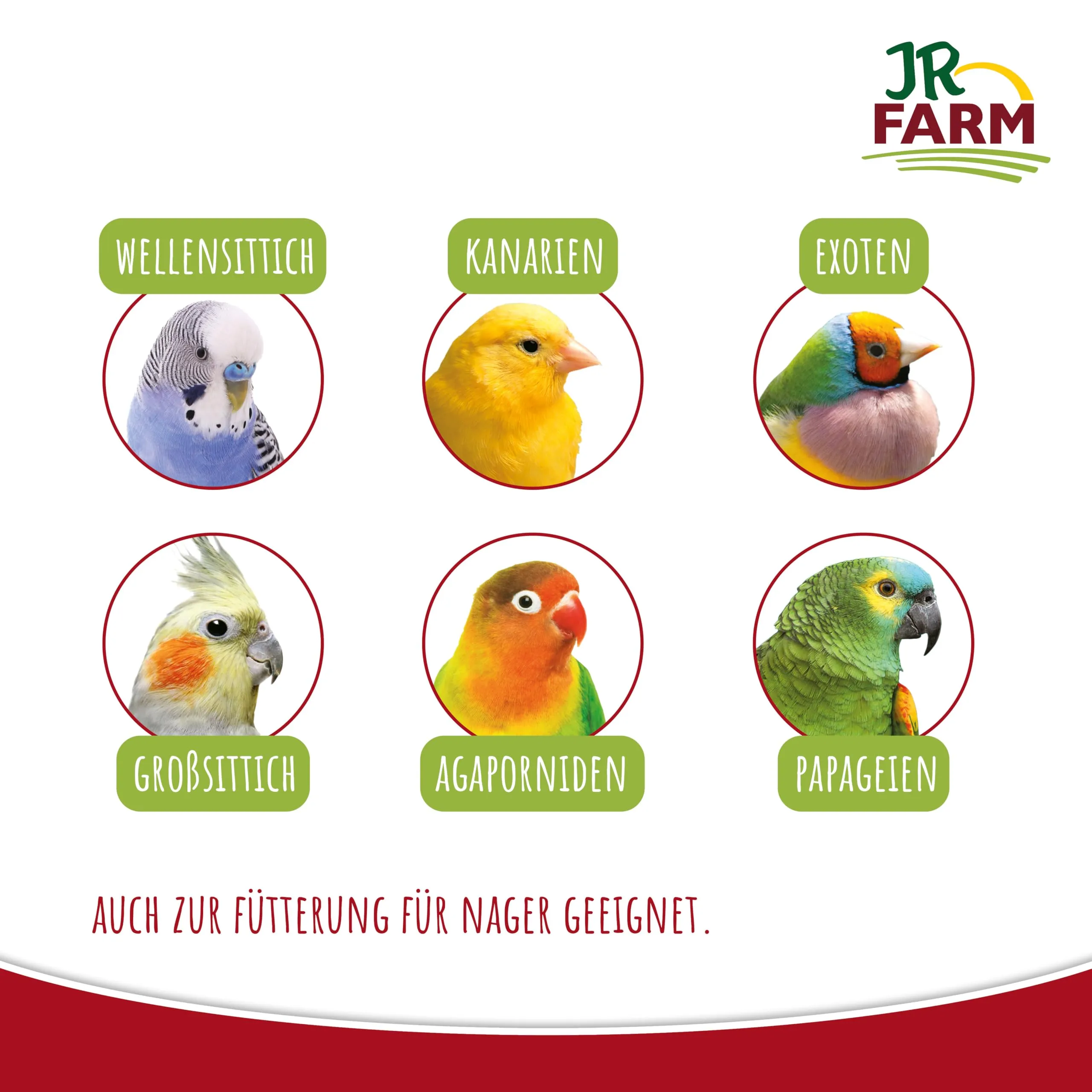 JR Farm Birds Miglio Pallone Giallo in Secchio 500 g - immagine 5