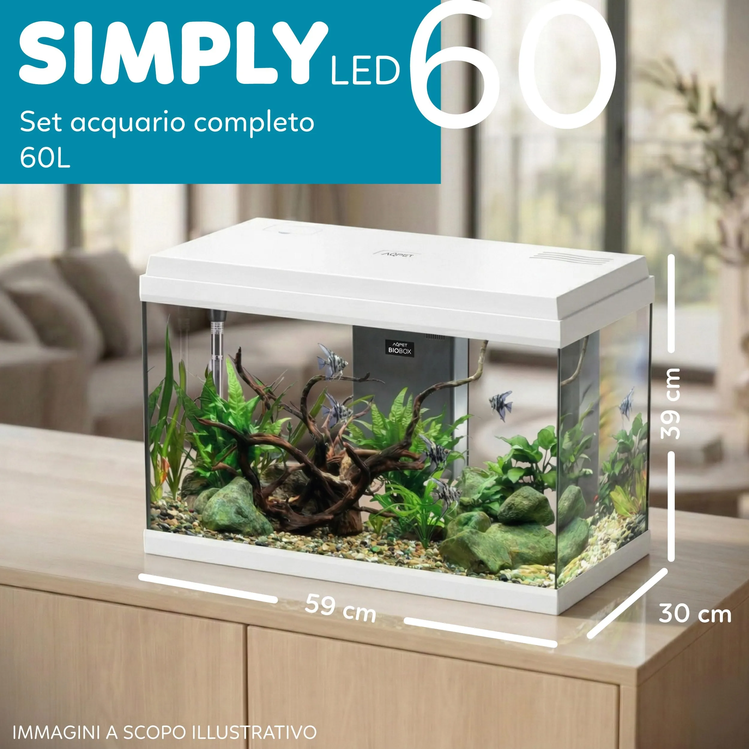 AQPET Acquario in Vetro per Pesci Tropicali Simply, 60 Litri, 59x30x39 cm, Bianco - immagine 2