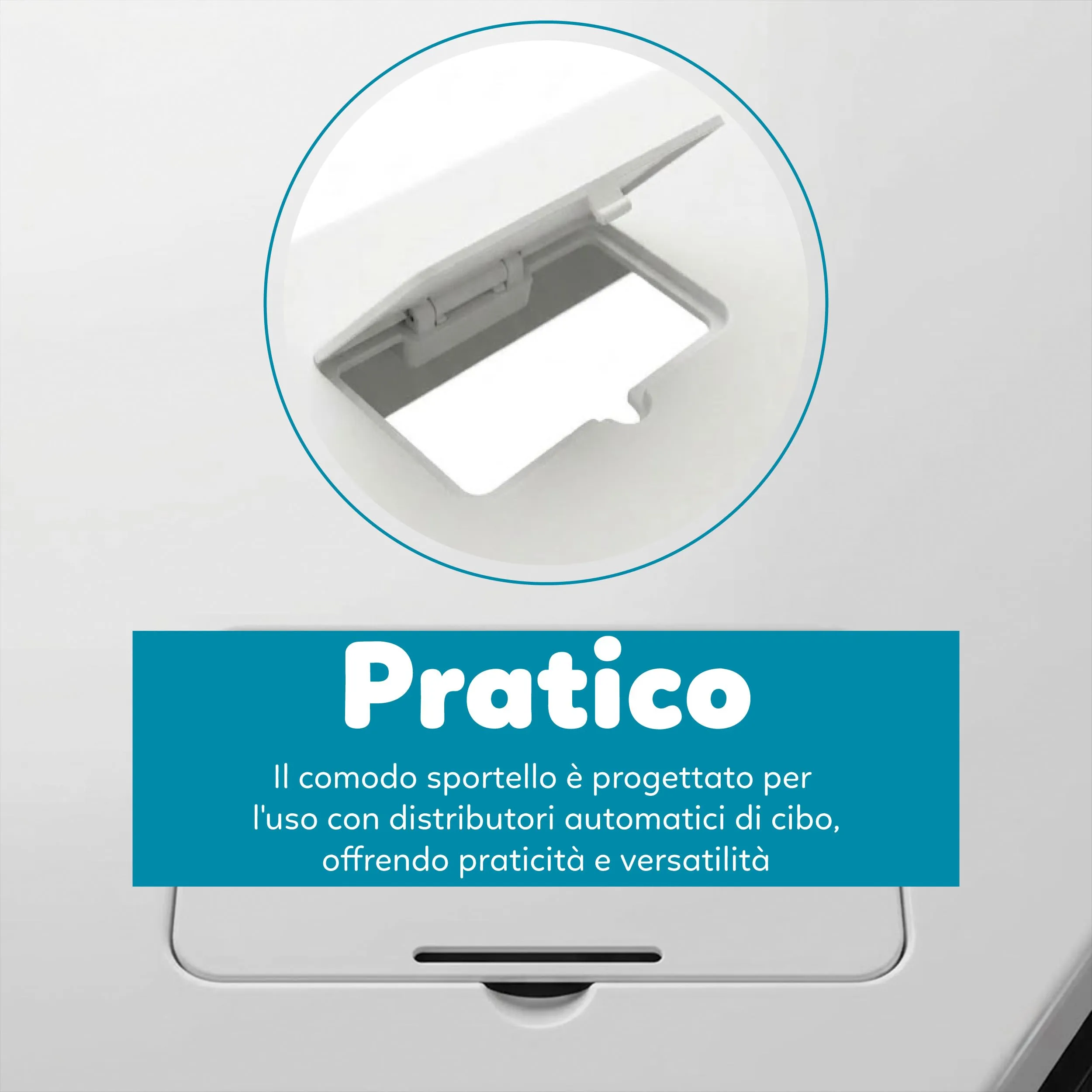 AQPET Acquario in Vetro per Pesci Tropicali Simply, 60 Litri, 59x30x39 cm, Bianco - immagine 5