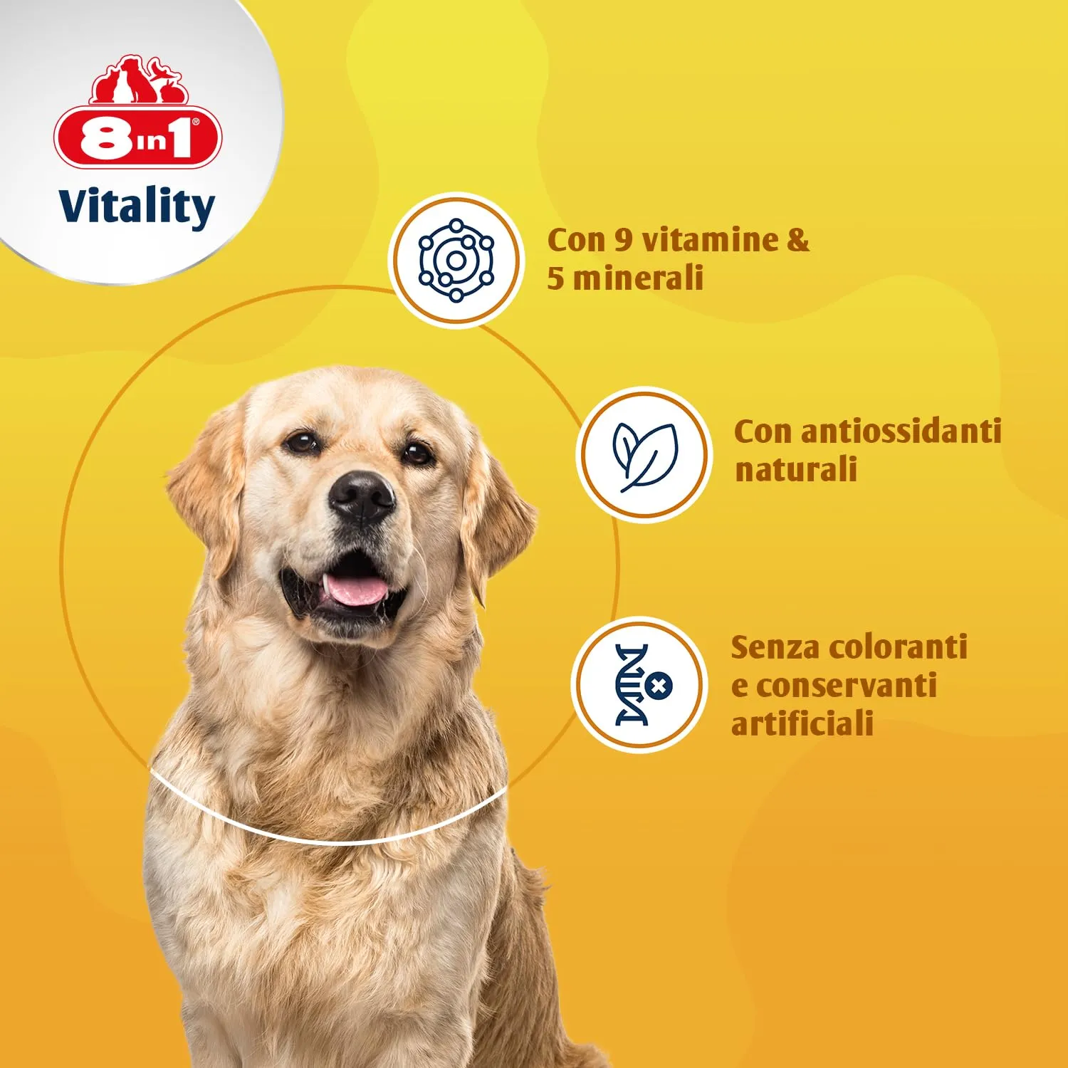 8in1 Vitamine per Cani Adulti, Integratore Multivitaminico, 70 Compresse - immagine 3