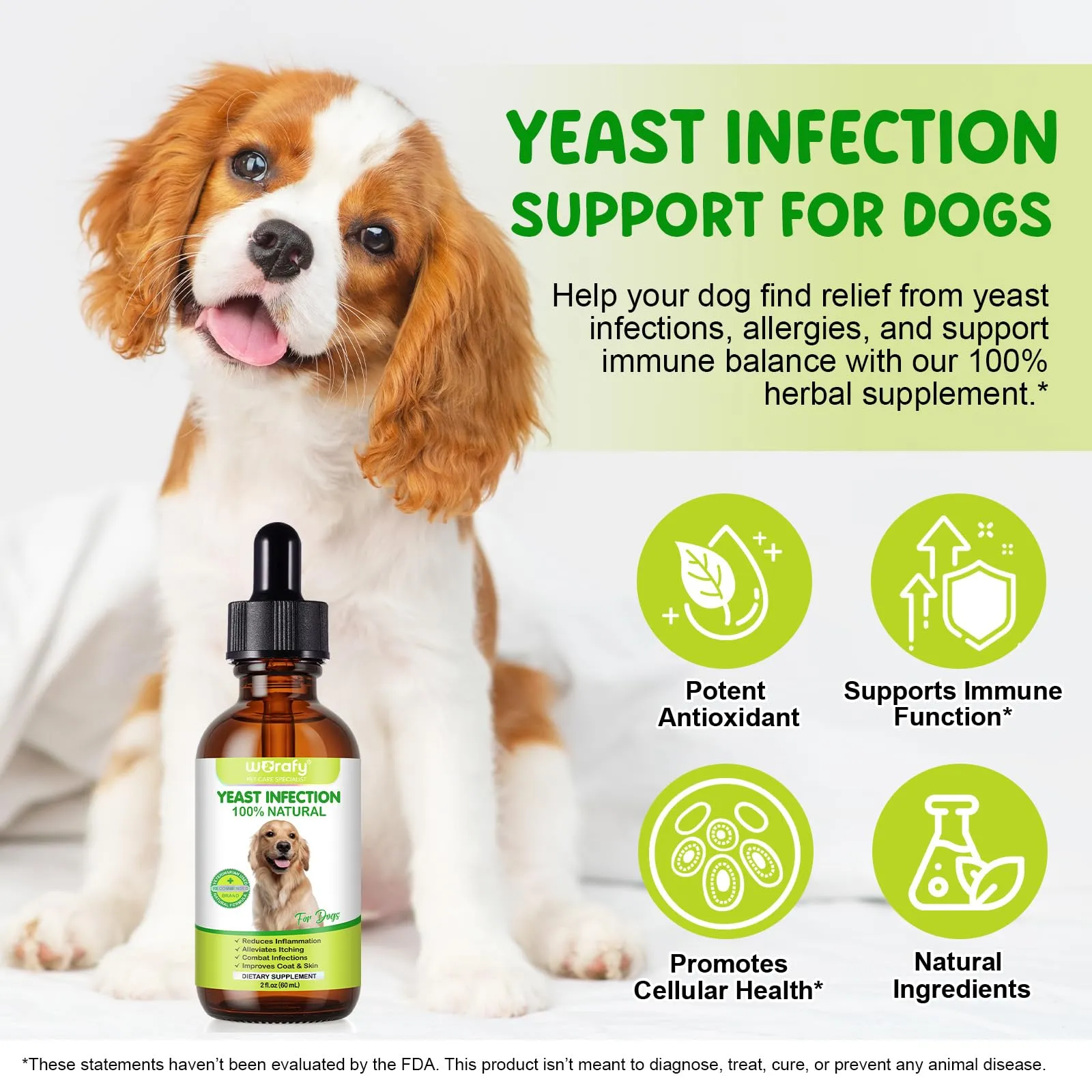 CiAIplw Gocce per Infezioni da Lieviti per Cani, Orecchie e Pelle, 60ml - immagine 2