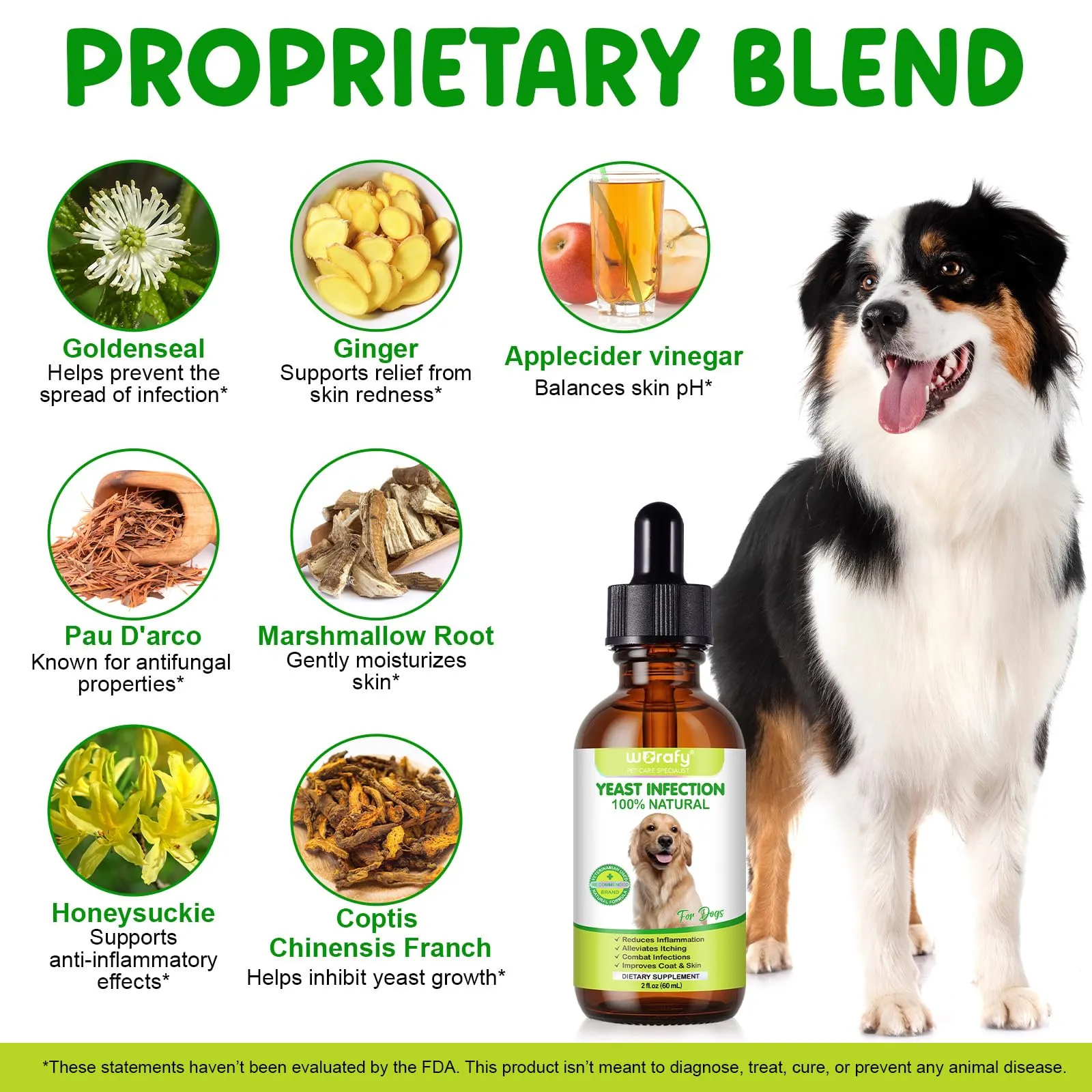 CiAIplw Gocce per Infezioni da Lieviti per Cani, Orecchie e Pelle, 60ml - immagine 4
