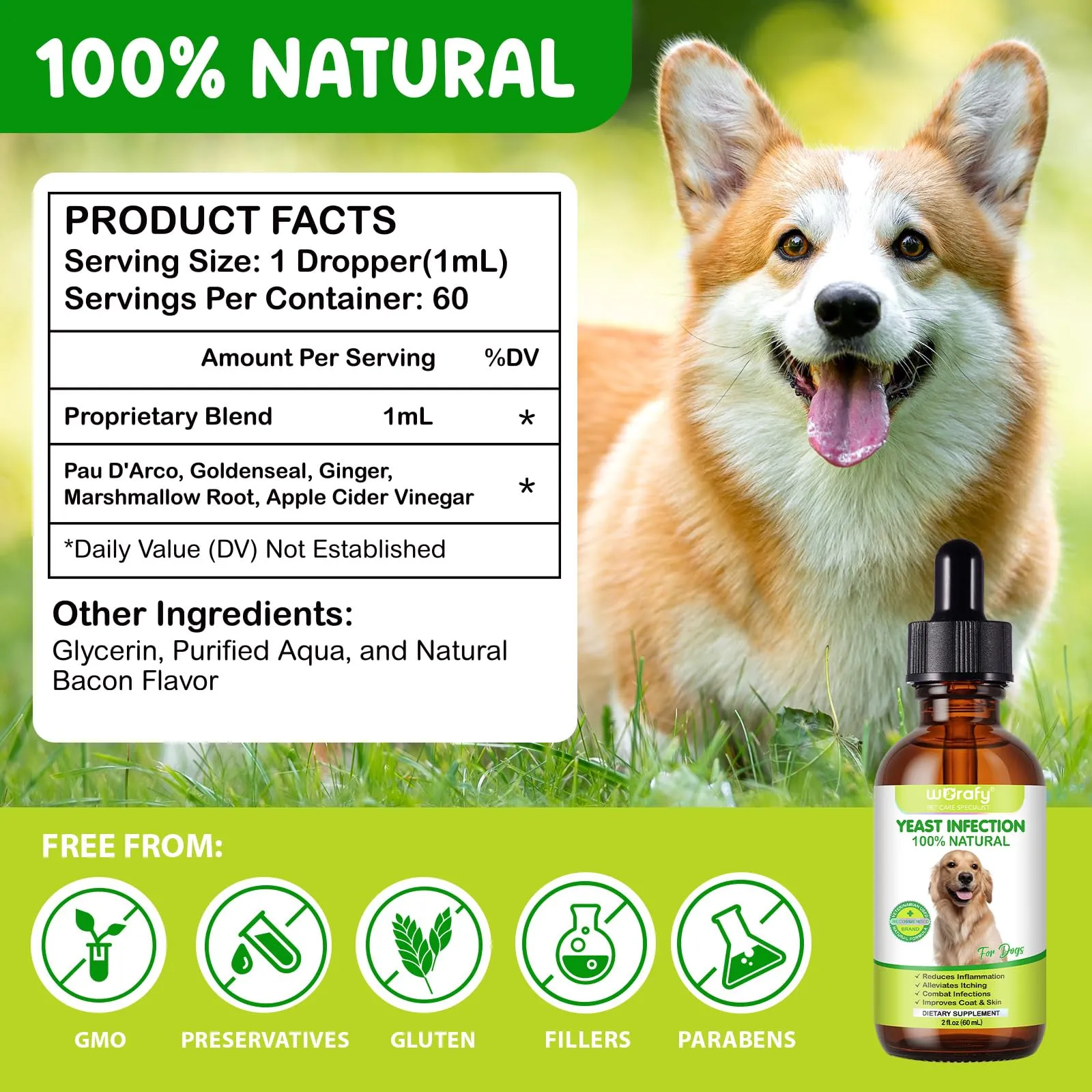 CiAIplw Gocce per Infezioni da Lieviti per Cani, Orecchie e Pelle, 60ml - immagine 6