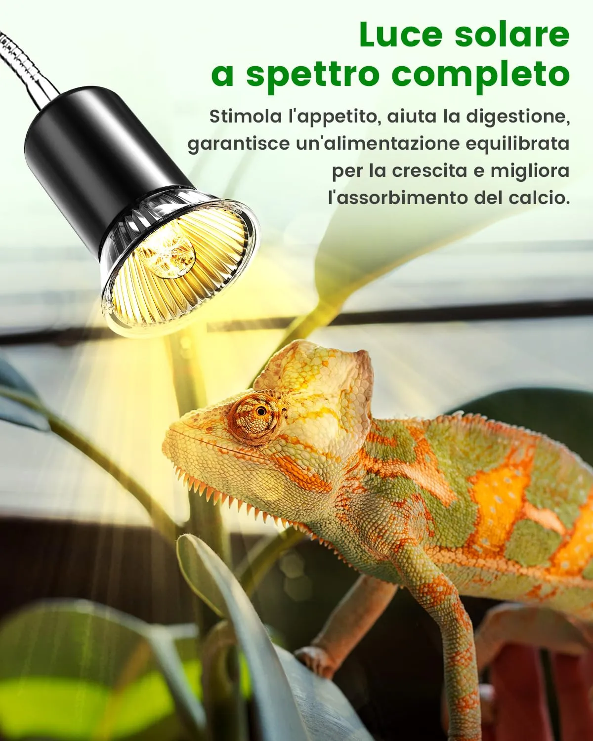 GlowUp Lampada per Rettili e Tartarughe, Girevole a 360° con Morsetto Regolabile, 2 Lampadine E27 Incluse - immagine 3