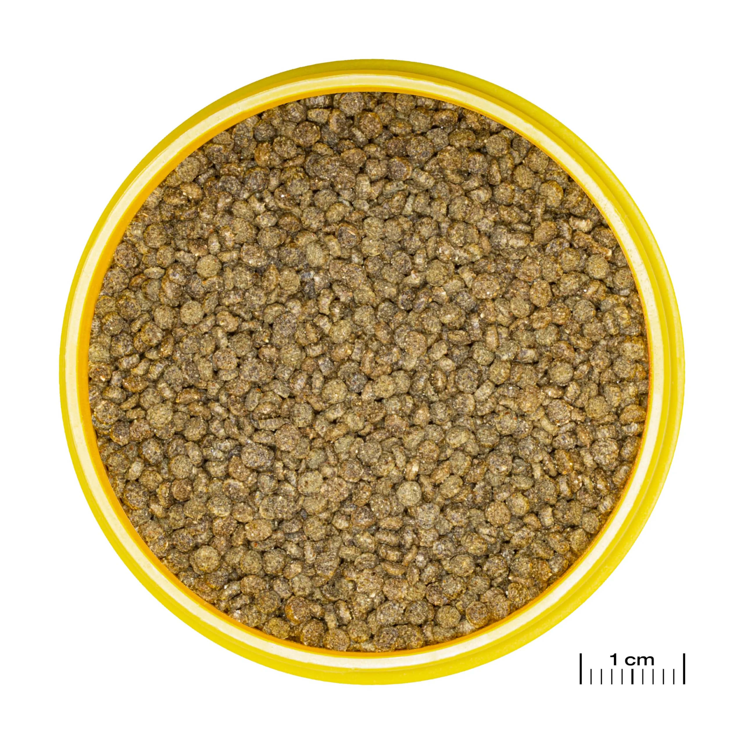 JBL Pronovo Gourami Grano - Mangime principale per gurami, pesce filo e labirinti (3-10 cm), Granuli, Taglia S, 250 ml - immagine 8