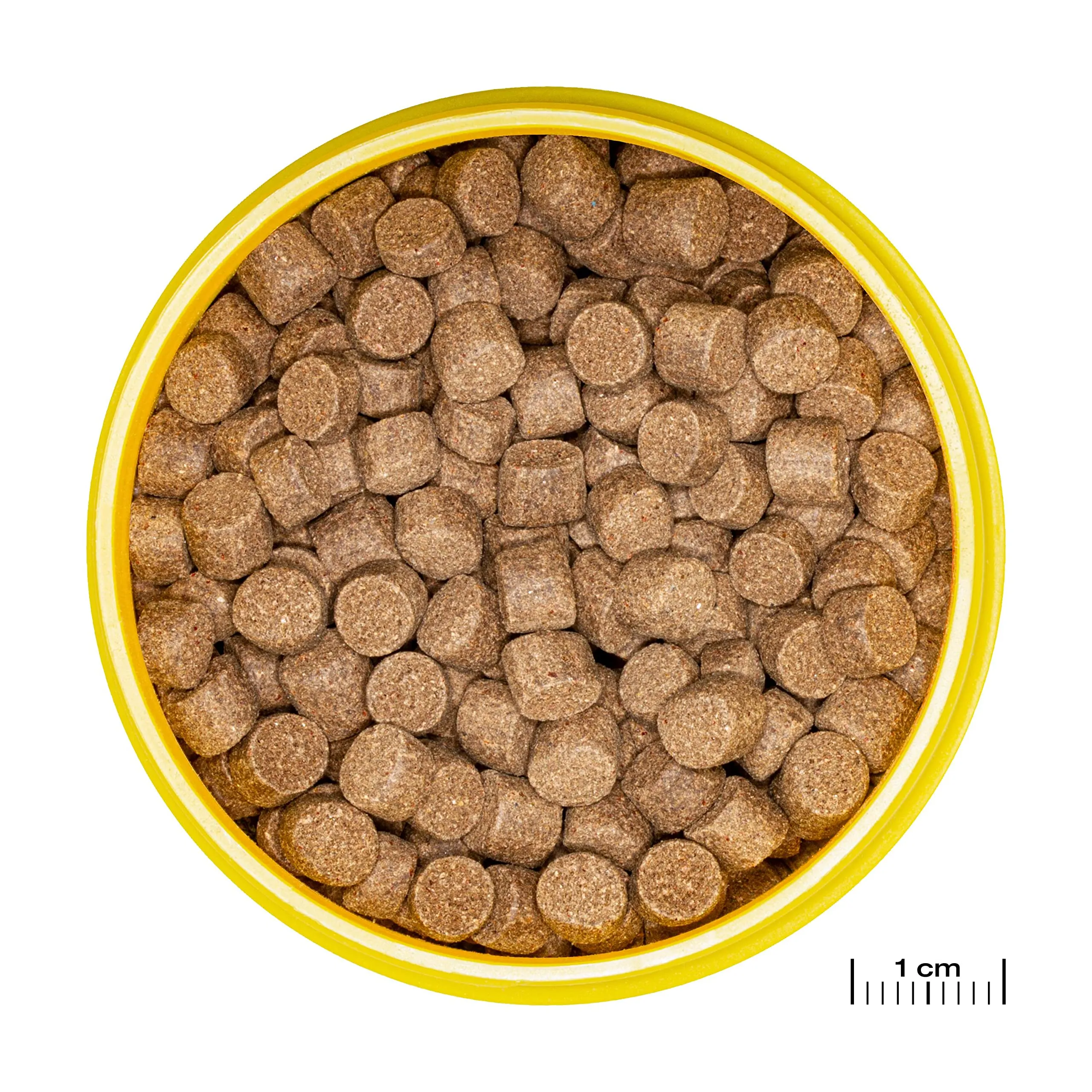 JBL Pronovo Lotl Grano - Mangime principale per Axolotl 15-25 cm, Granuli XL, 250 ml - immagine 2