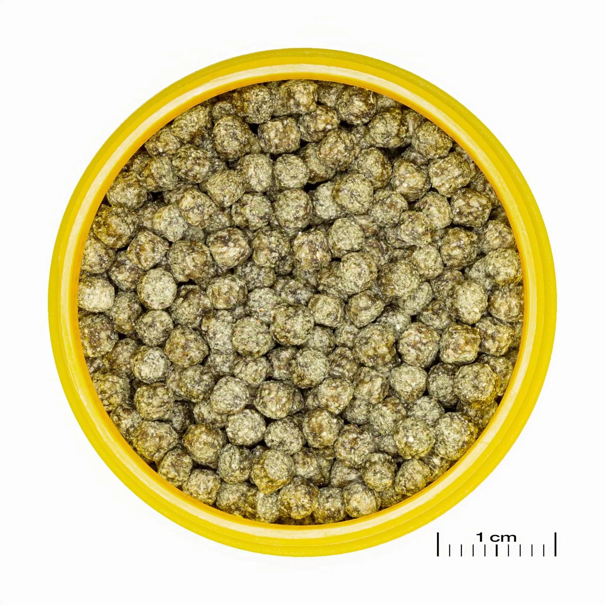 JBL ProNovo Red Grano, Mangime principale per pesci rossi 8-20 cm, Granulato taglia M, 100 ml - immagine 7