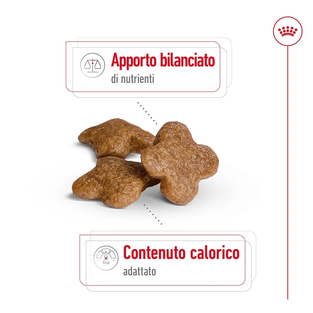 Royal Canin Mini Adult 8+ Alimento secco completo per cani maturi, 4kg - immagine 3