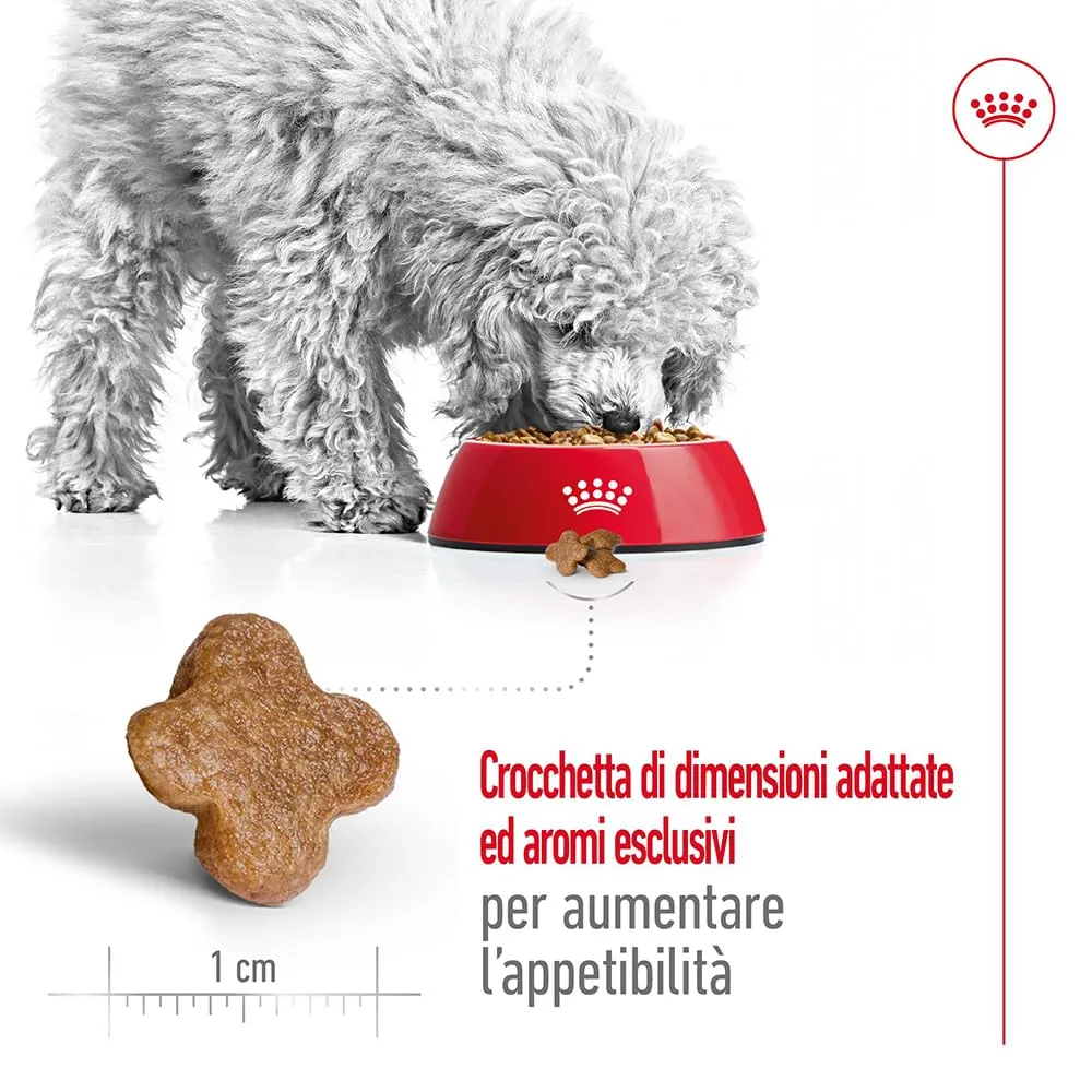 Royal Canin Mini Adult 8+ Alimento secco completo per cani maturi, 4kg - immagine 4