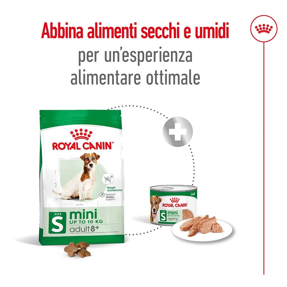 Royal Canin Mini Adult 8+ Alimento secco completo per cani maturi, 4kg - immagine 6
