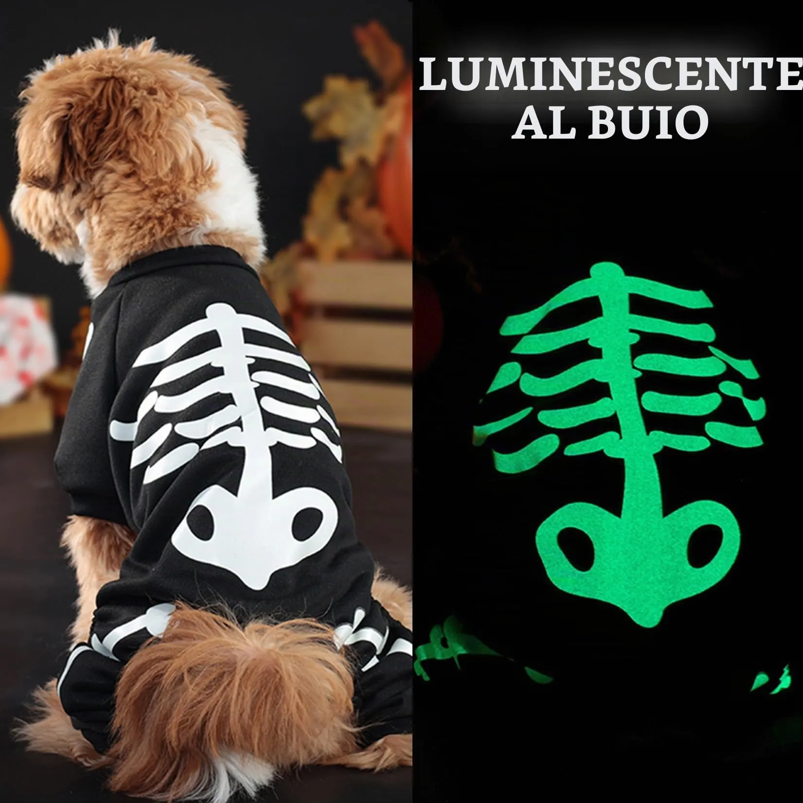 Zunea Costume di Halloween per cani, tuta scheletro luminoso per cani di piccola taglia, felpa con cappuccio - immagine 3