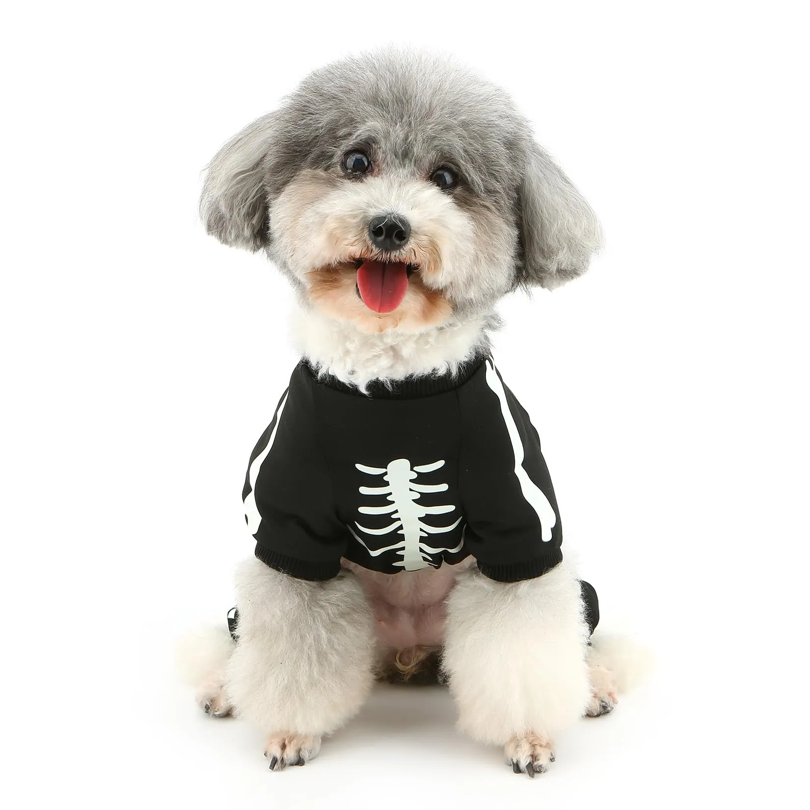 Zunea Costume di Halloween per cani, tuta scheletro luminosa, taglia XL, Nero - immagine 8